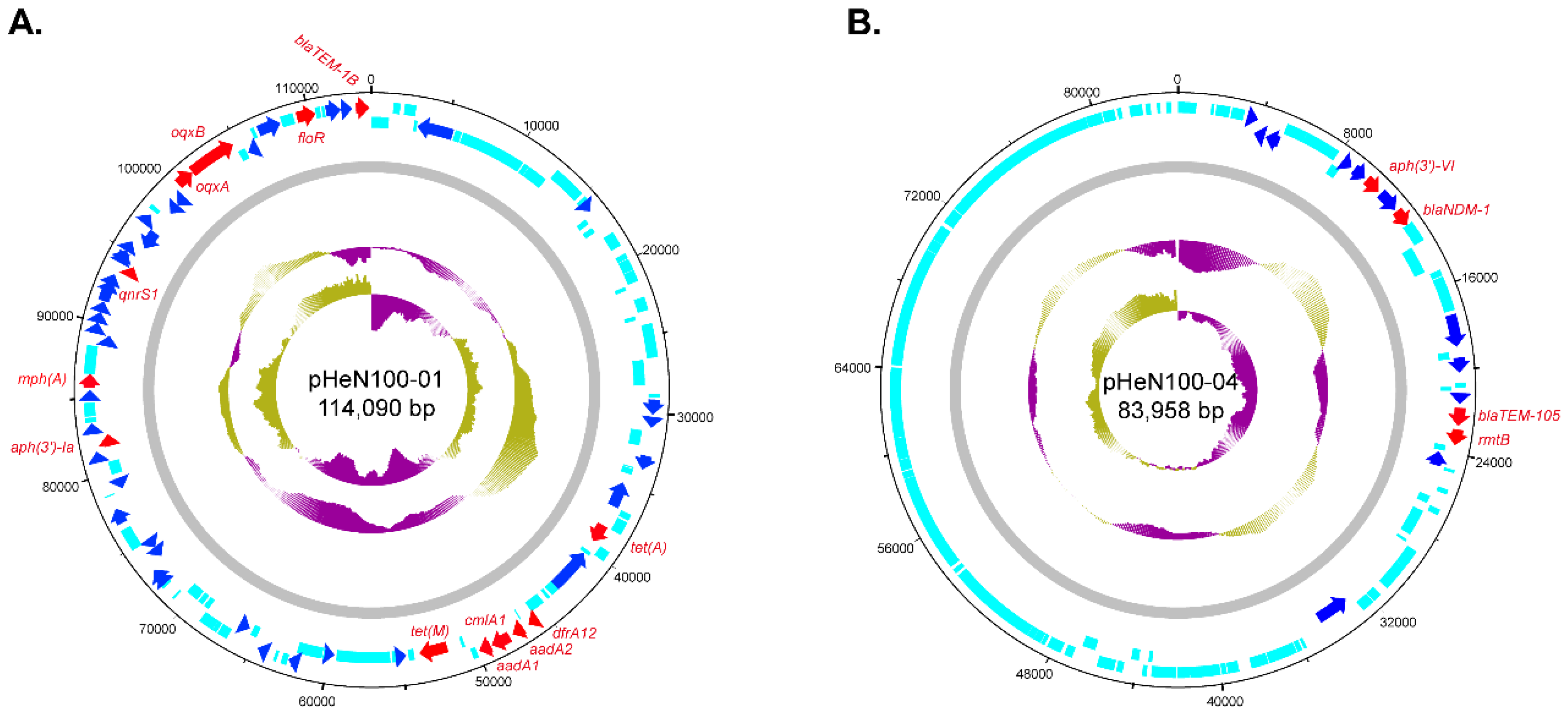 Microorganisms 07 00558 g003