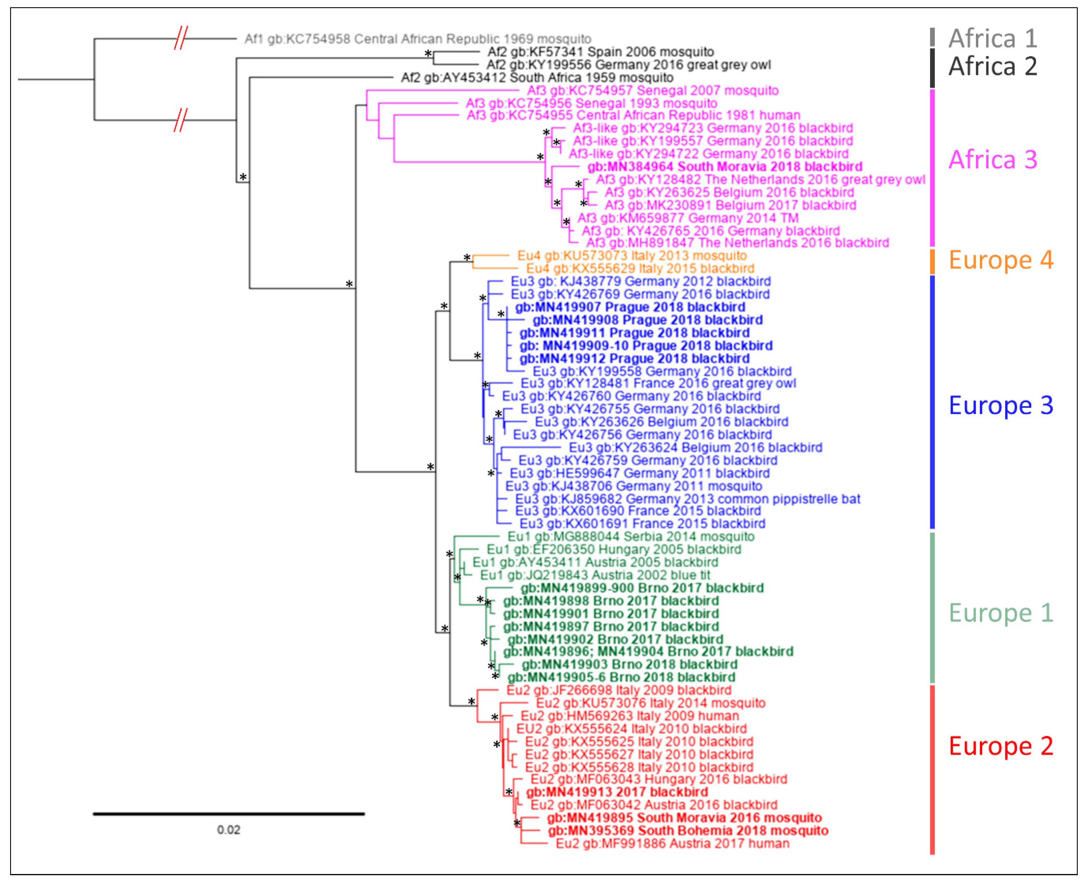 Microorganisms 07 00568 g002