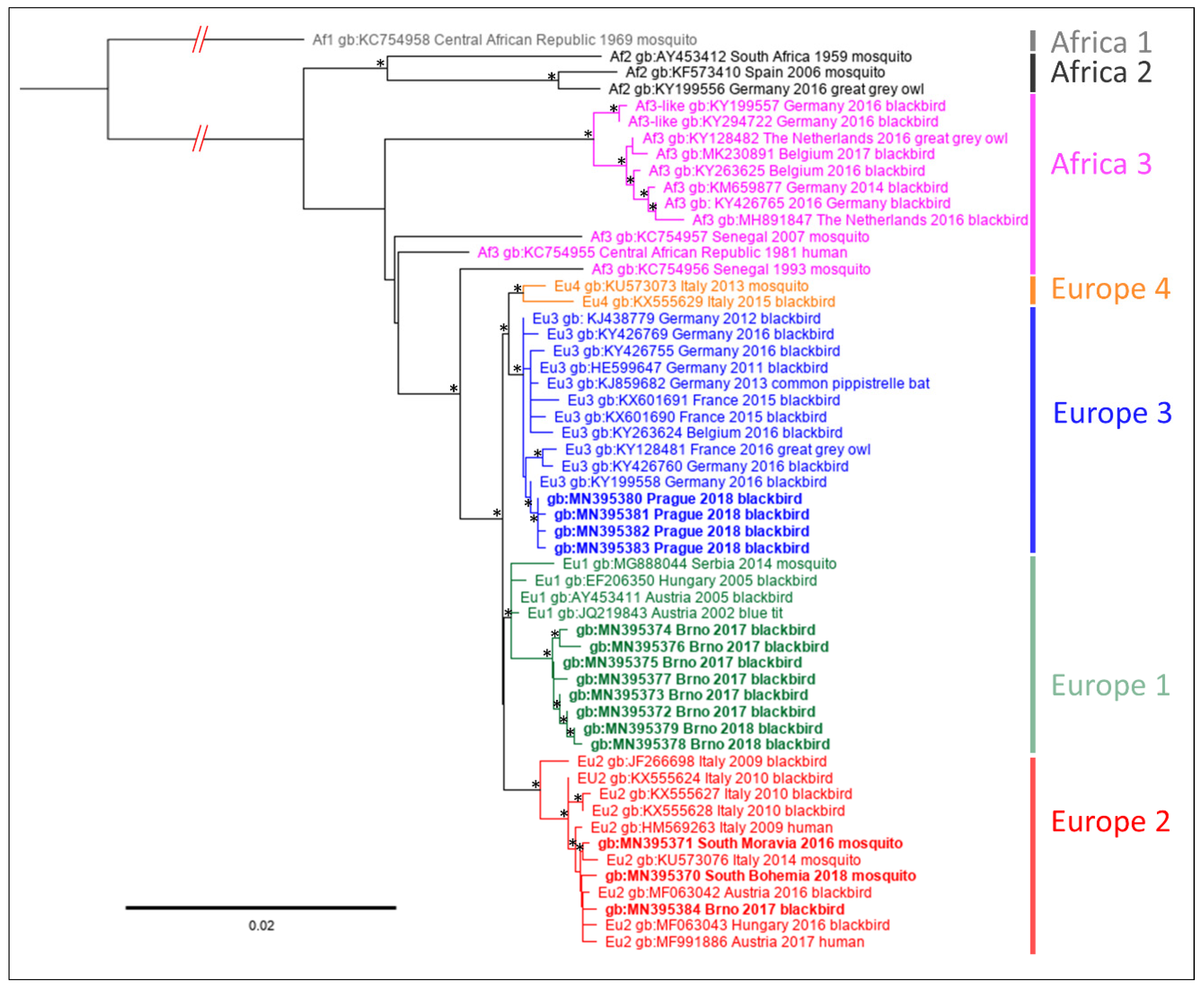 Microorganisms 07 00568 g003