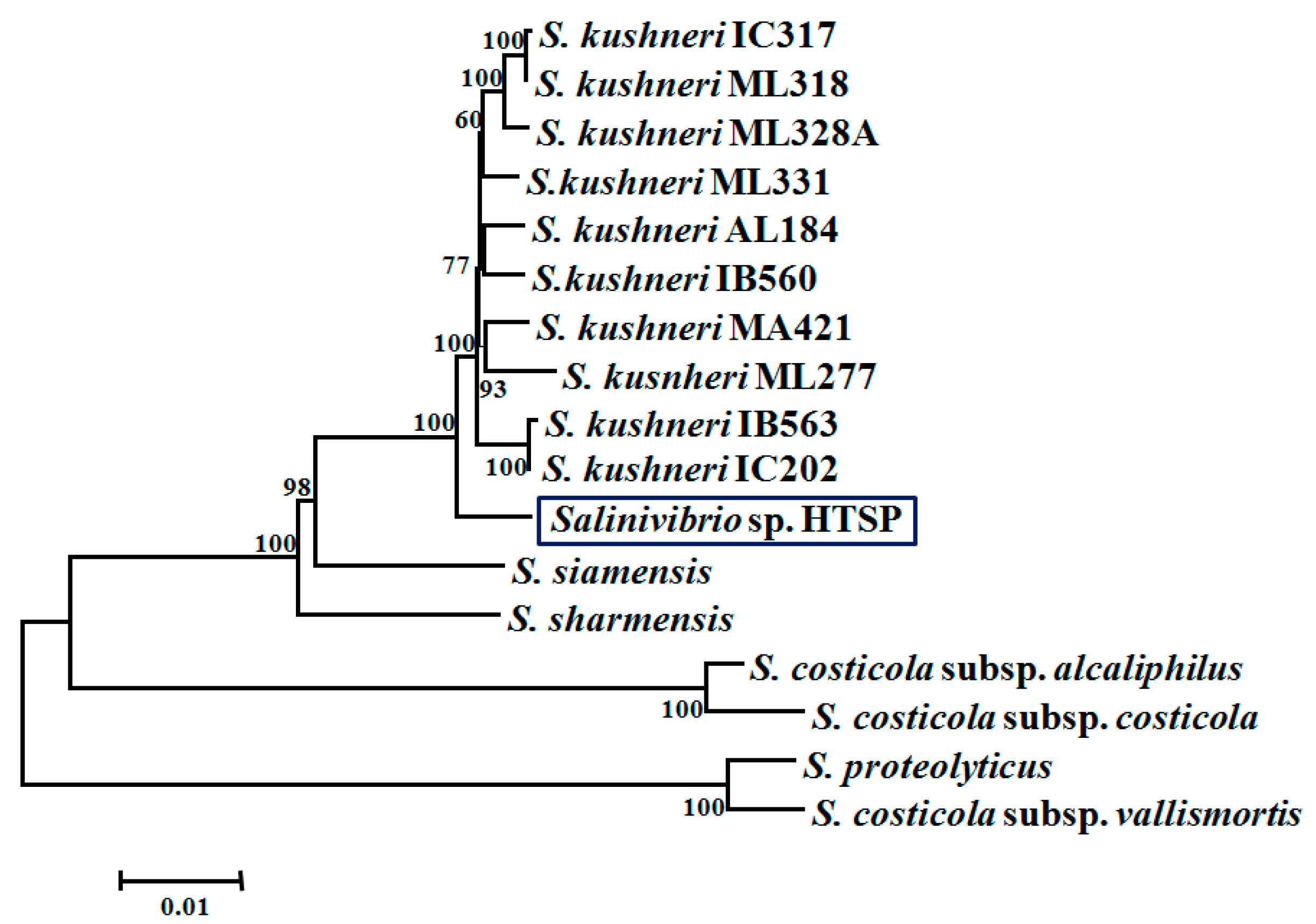 Microorganisms 07 00577 g002