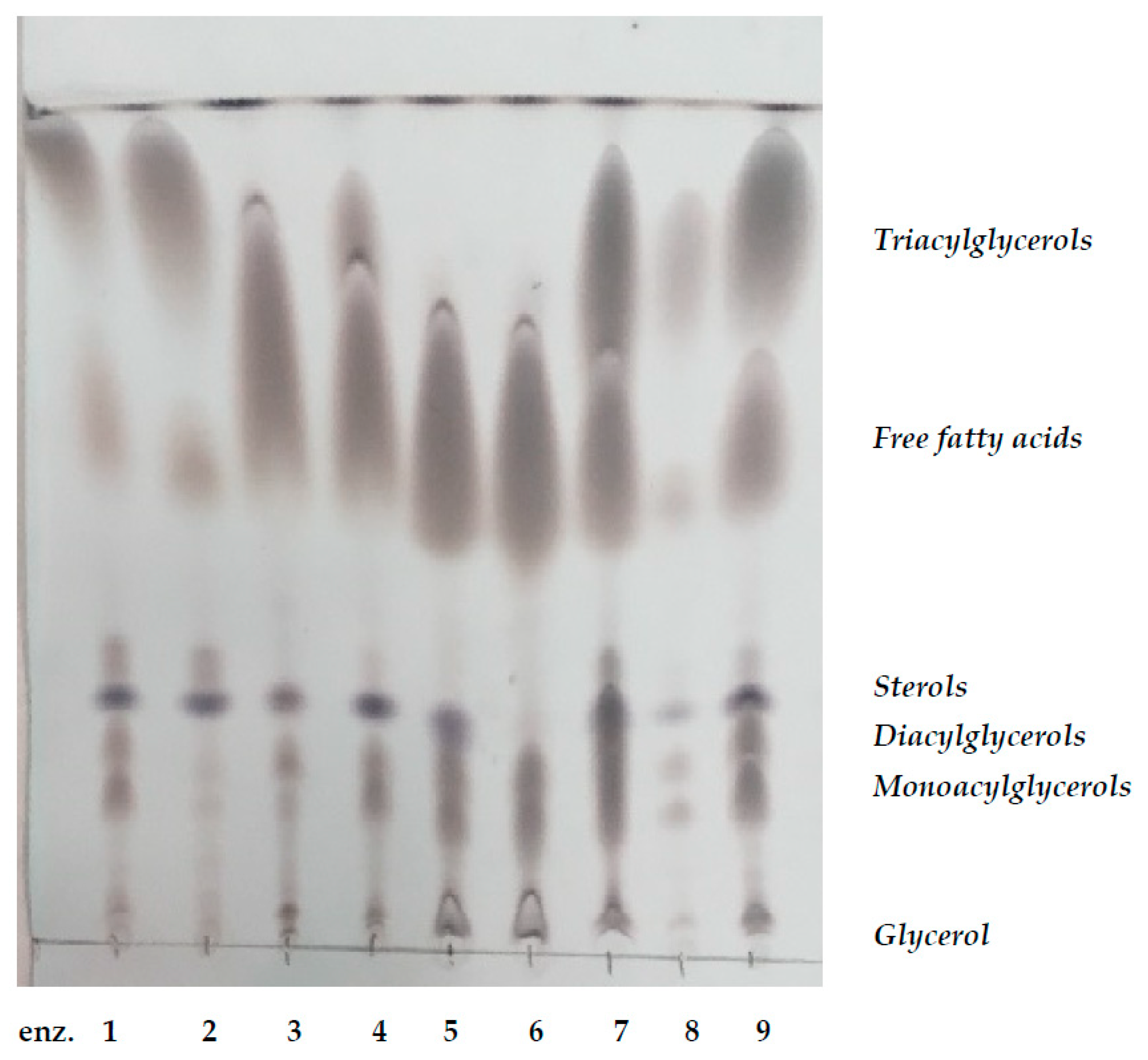 Microorganisms 07 00578 g001