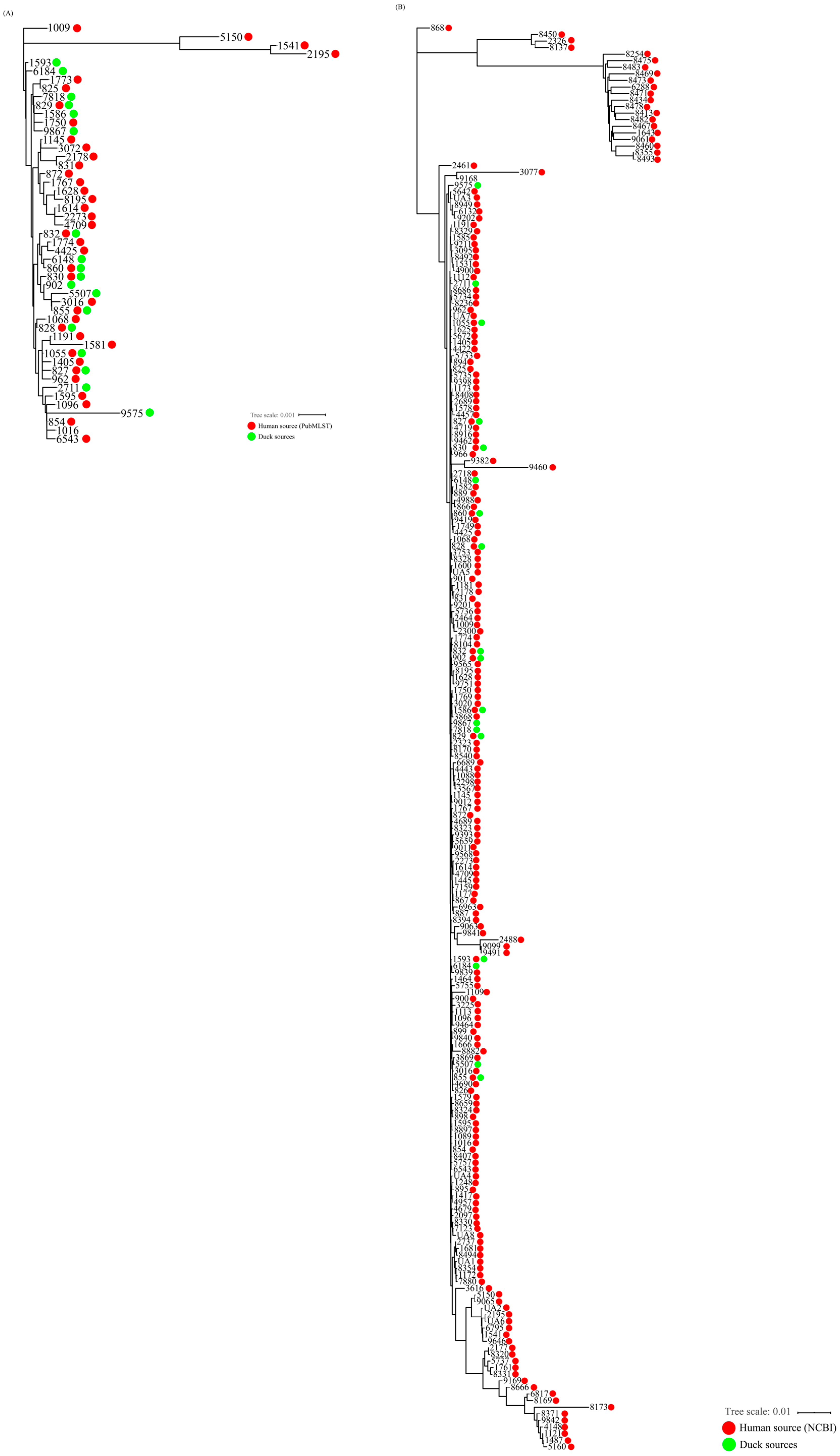 Microorganisms 07 00579 g003 Microorganisms 07 00579 g003