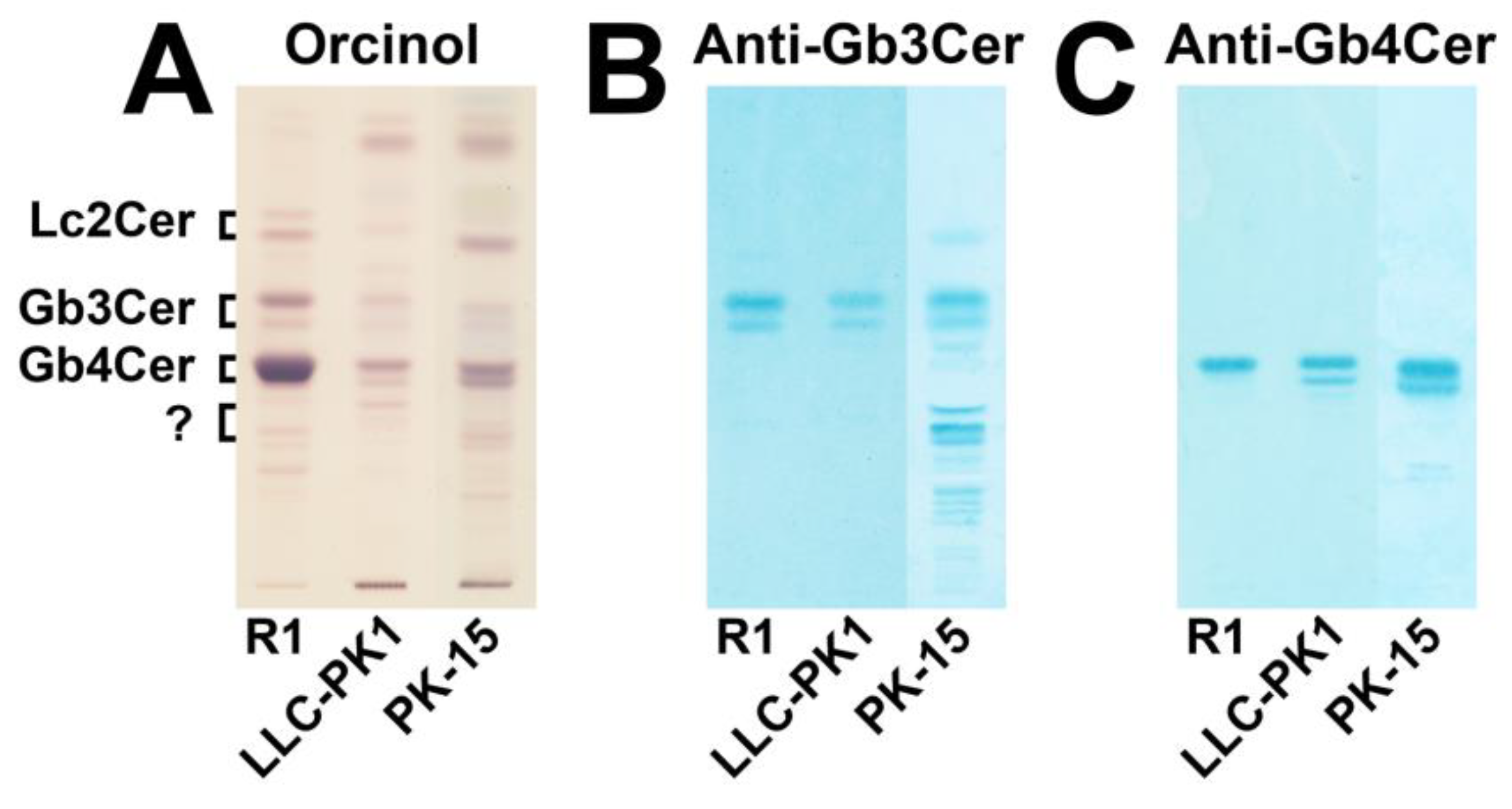 Microorganisms 07 00582 g001 Microorganisms 07 00582 g001