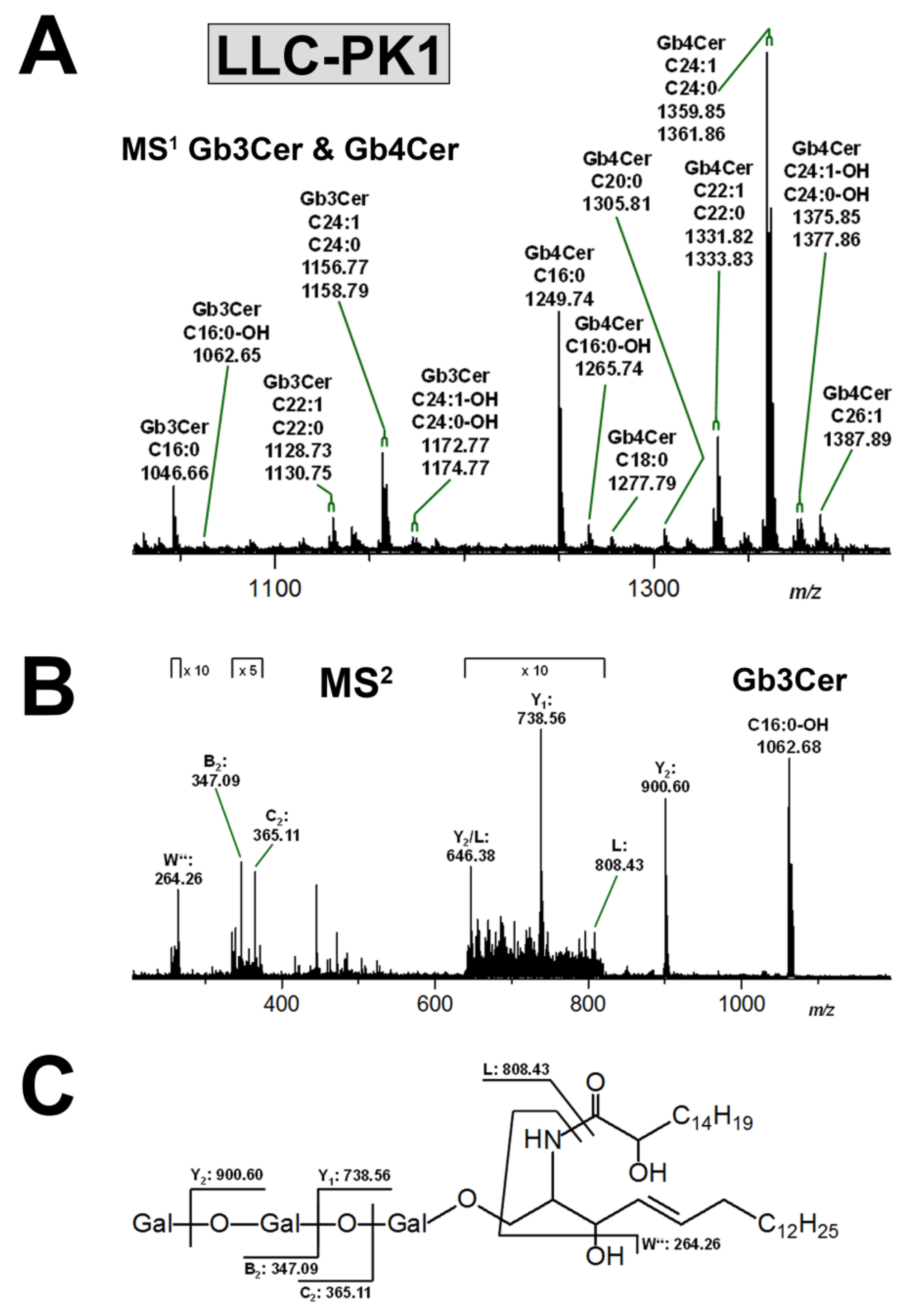 Microorganisms 07 00582 g003 Microorganisms 07 00582 g003