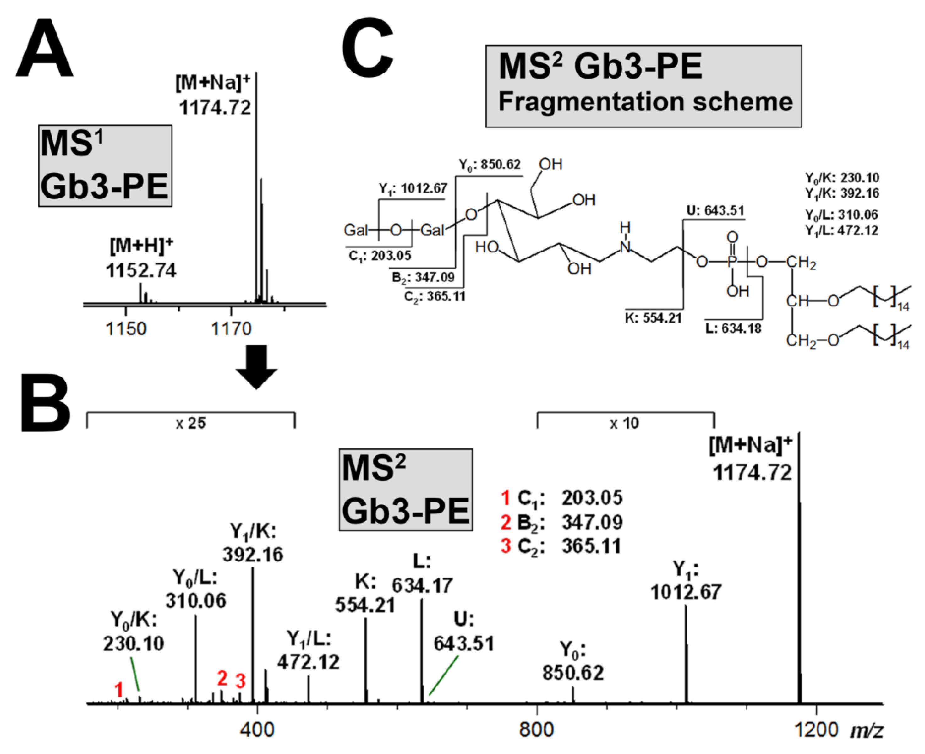 Microorganisms 07 00582 g007 Microorganisms 07 00582 g007