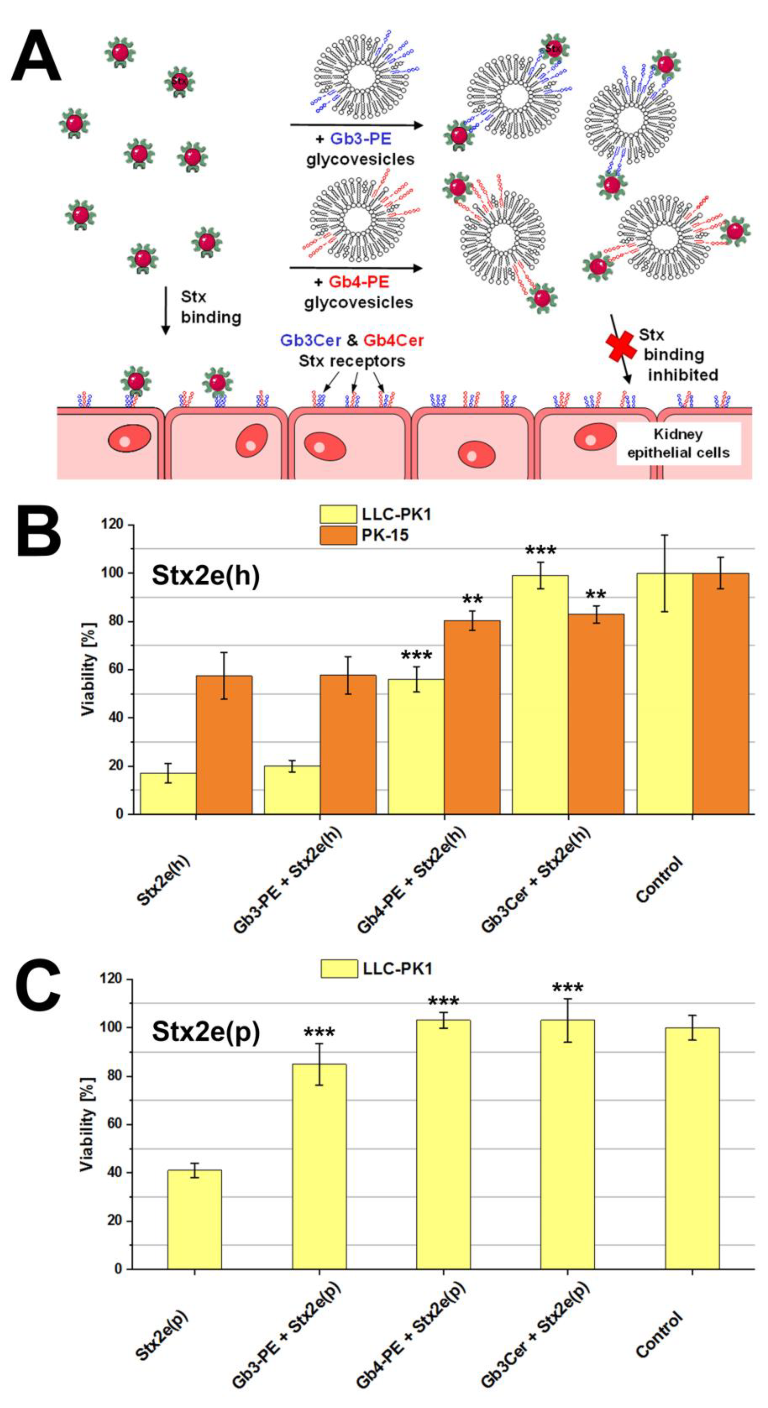 Microorganisms 07 00582 g009 Microorganisms 07 00582 g009