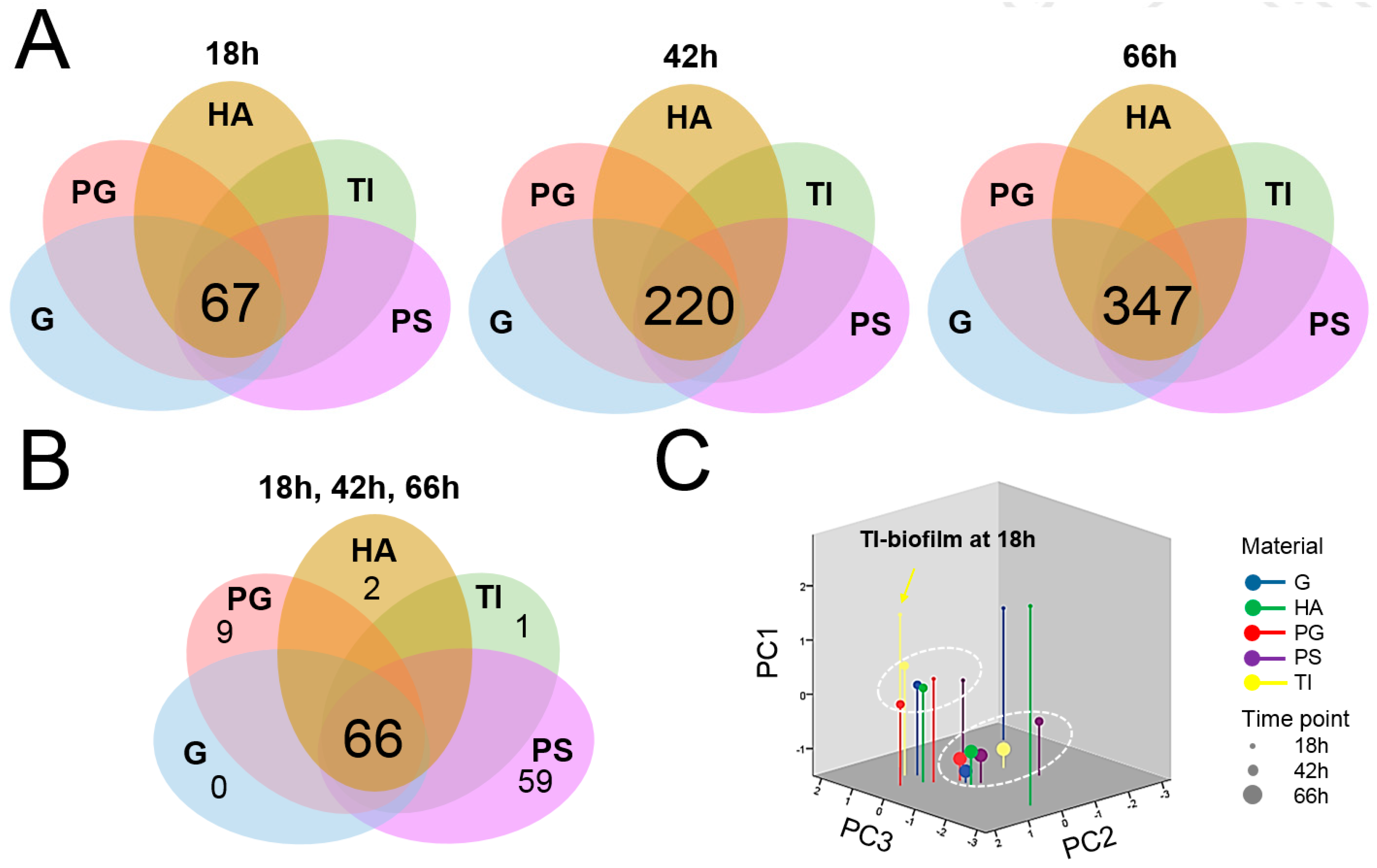 Microorganisms 07 00584 g006