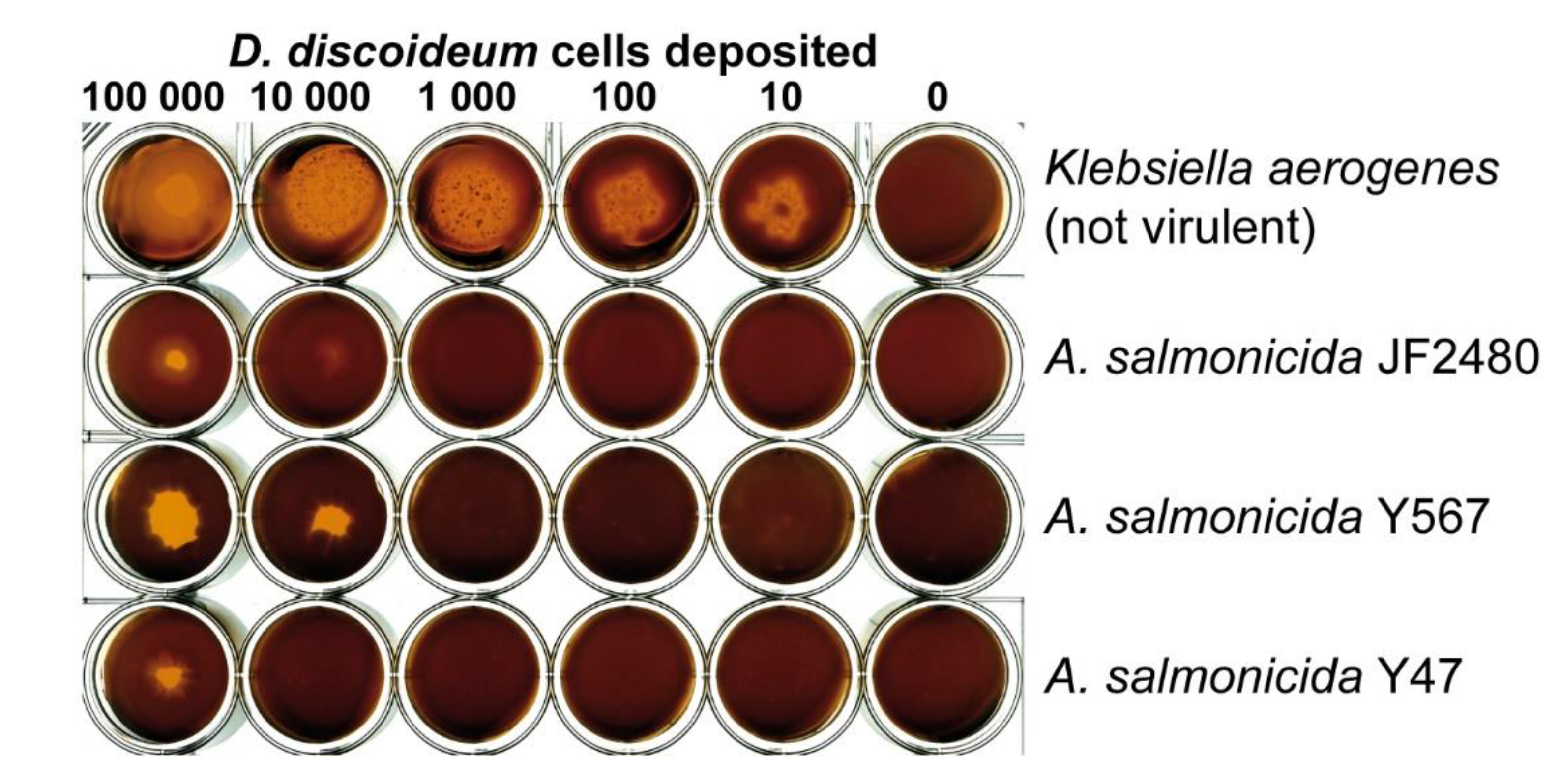 Microorganisms 07 00592 g003 Microorganisms 07 00592 g003