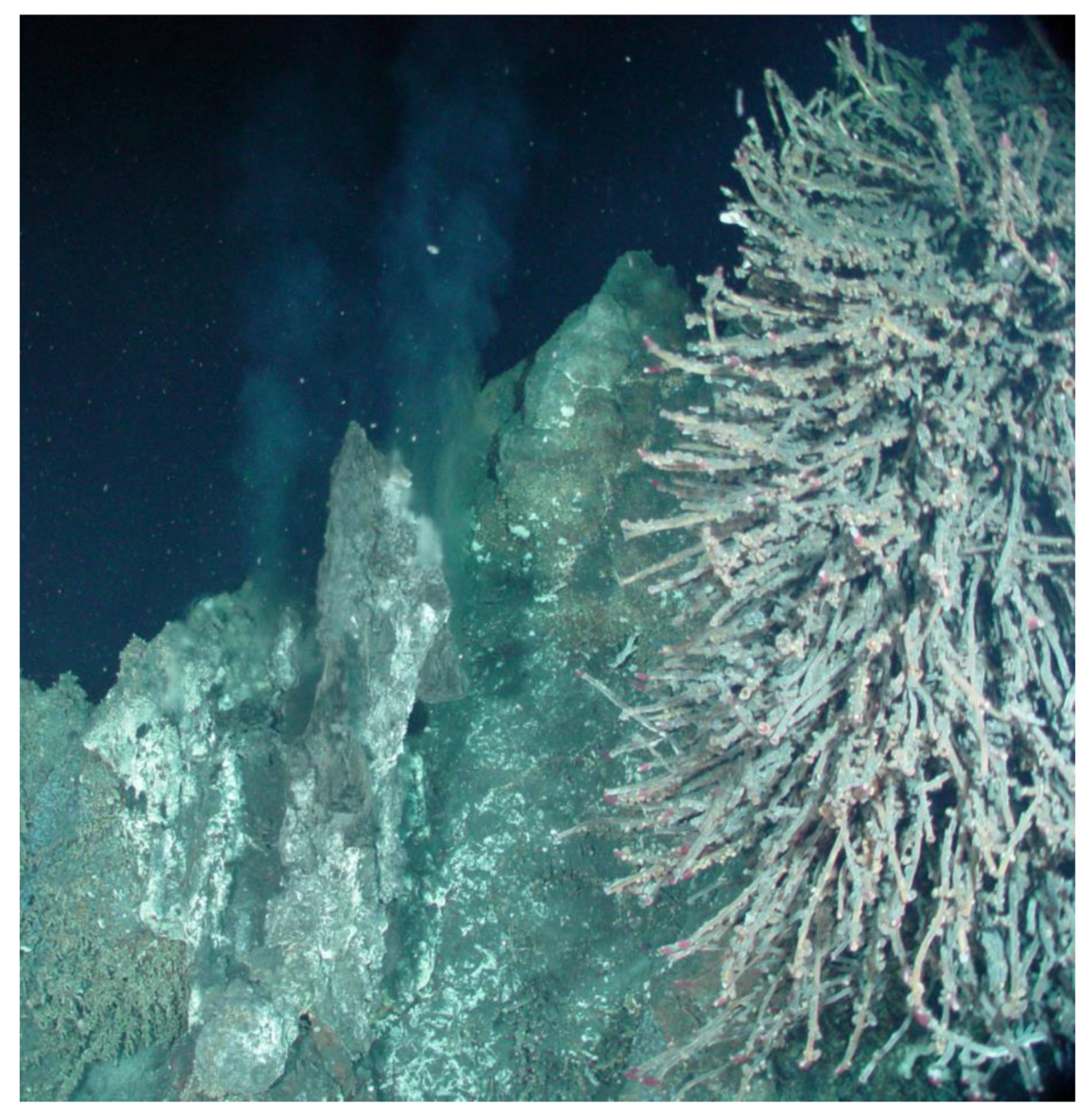 Microorganisms 07 00601 g001