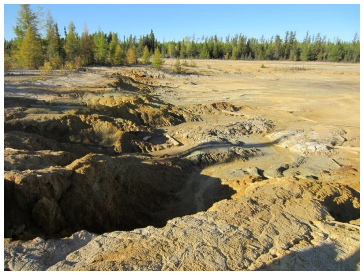 Microorganisms 07 00601 g004