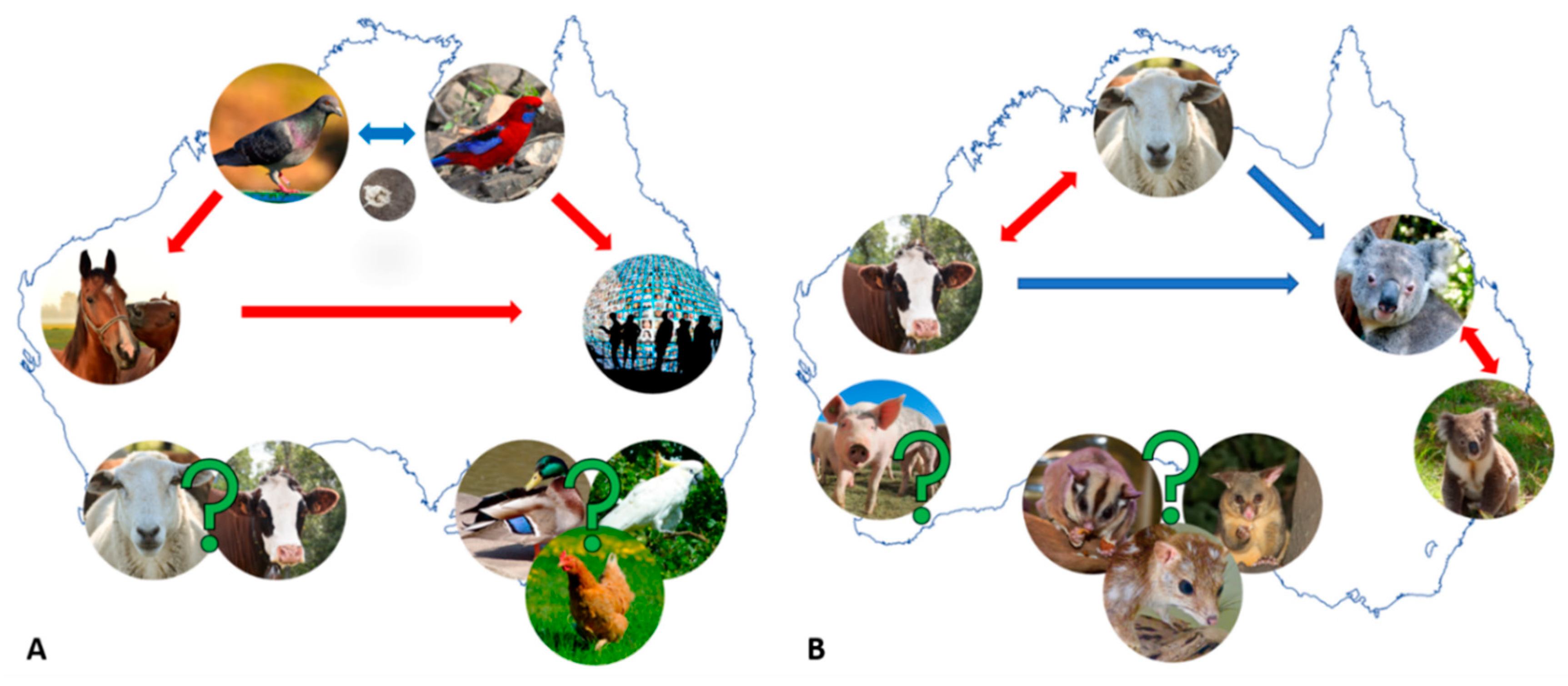 Microorganisms 07 00602 g001