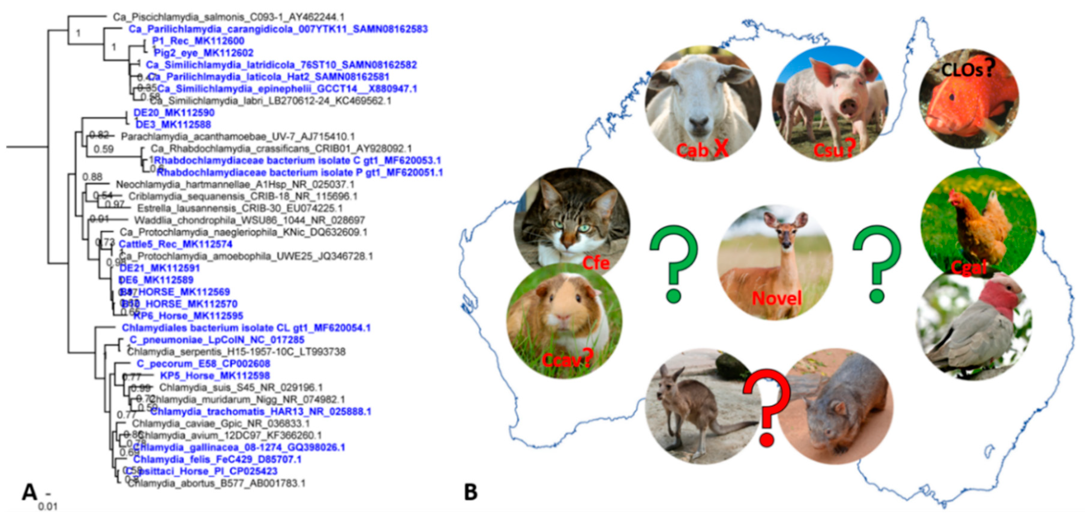 Microorganisms 07 00602 g002
