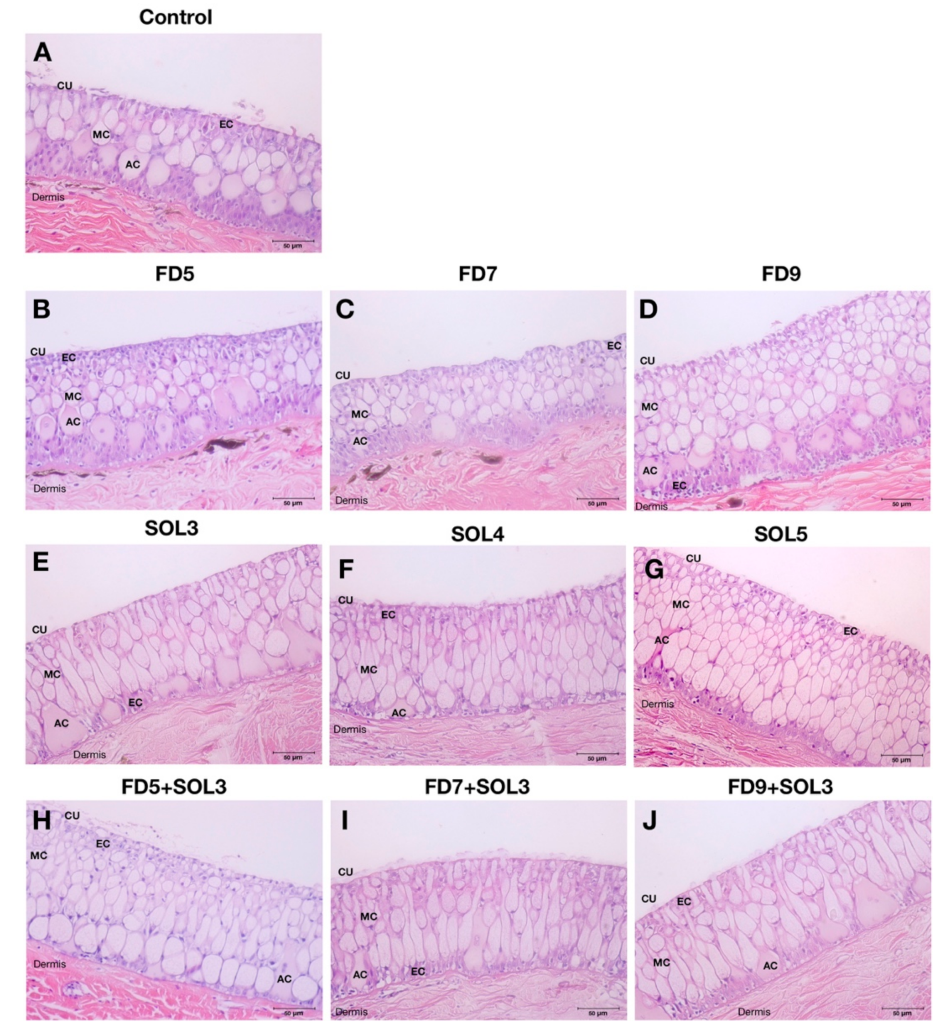 Microorganisms 07 00613 g005