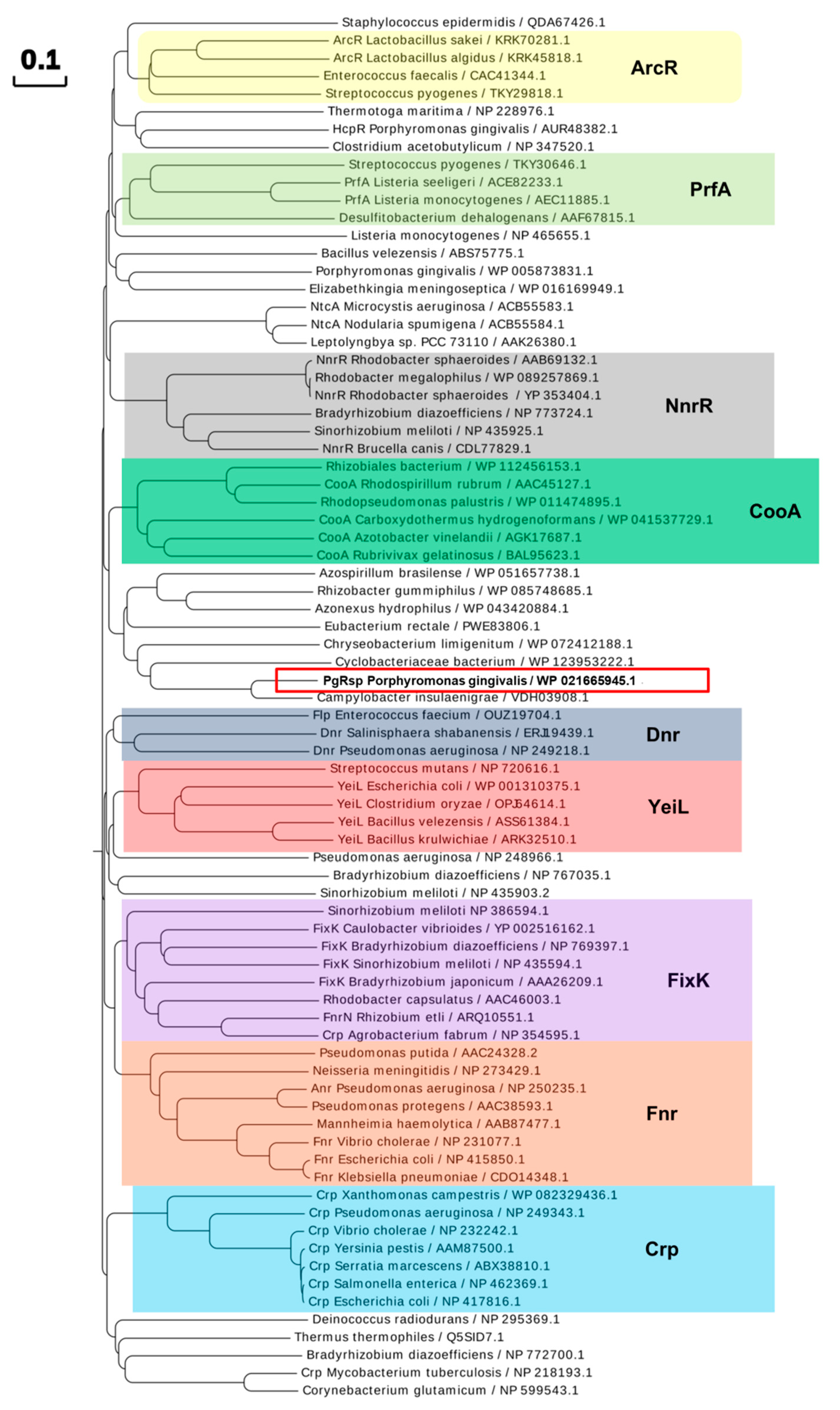 Microorganisms 07 00623 g001