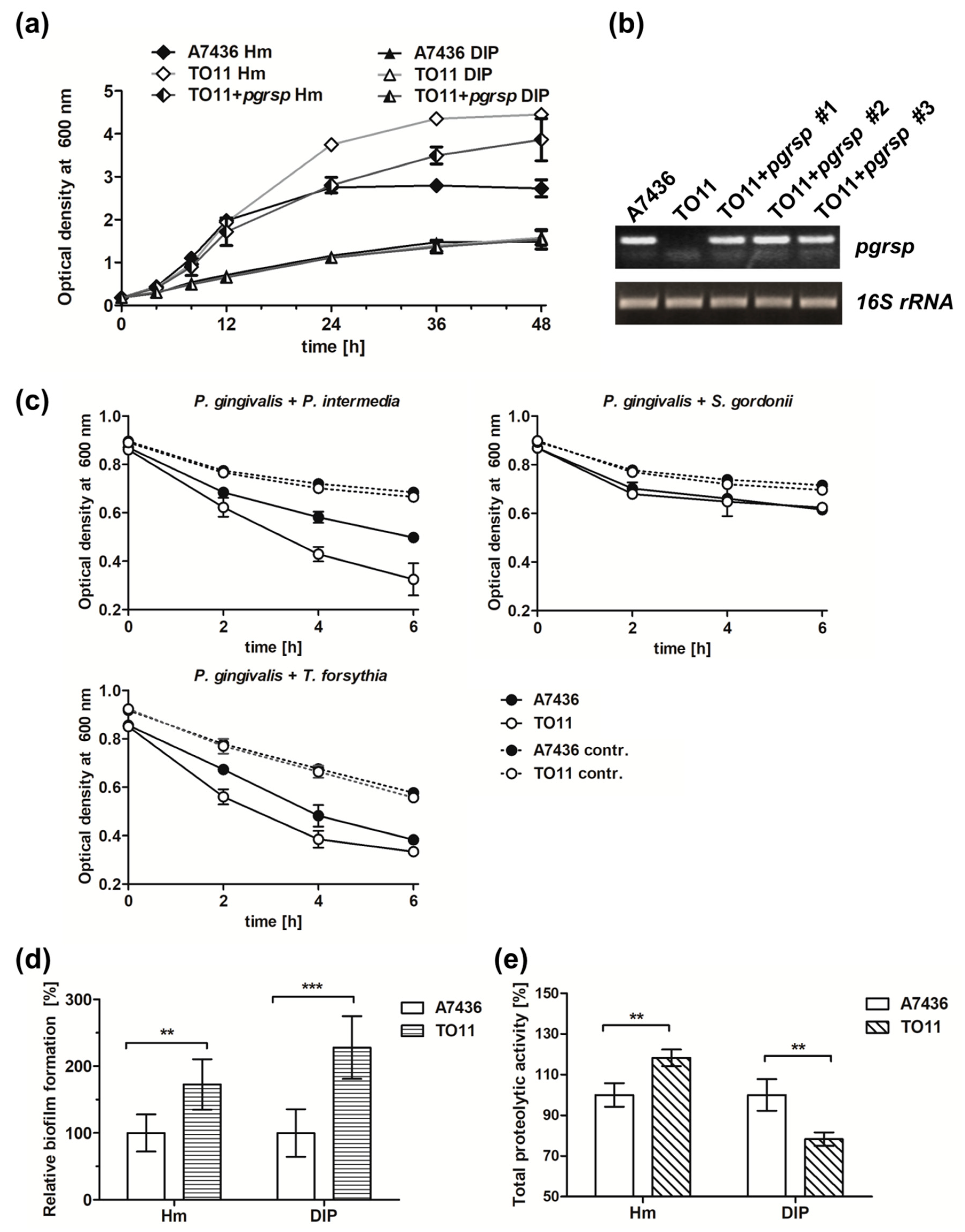 Microorganisms 07 00623 g006