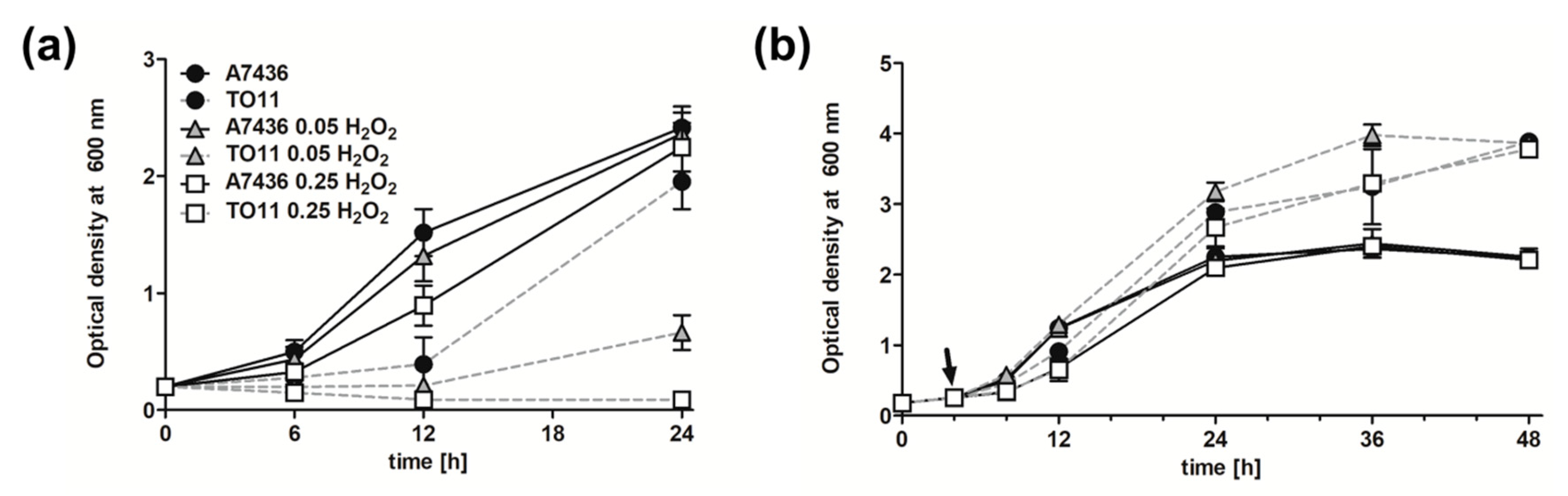Microorganisms 07 00623 g007