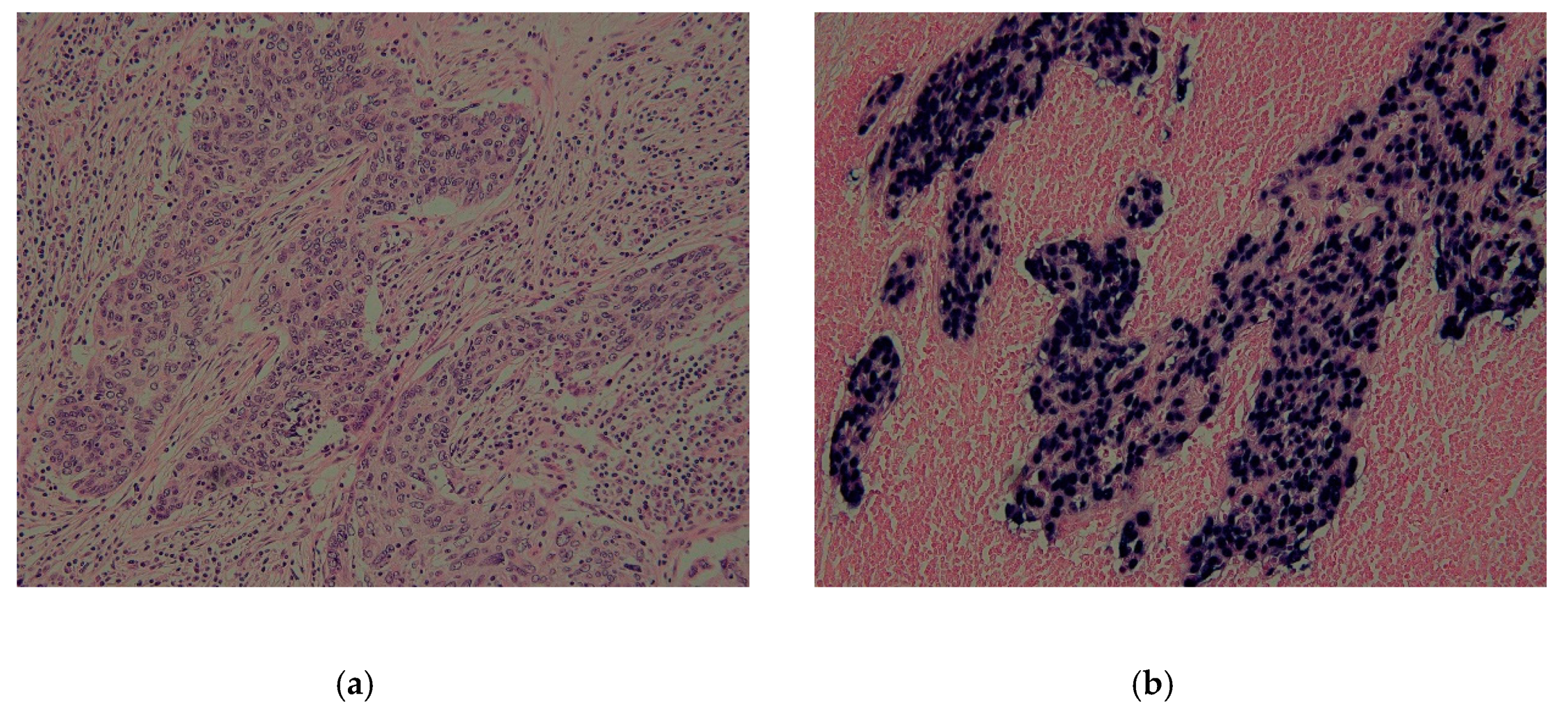 Microorganisms 07 00628 g001