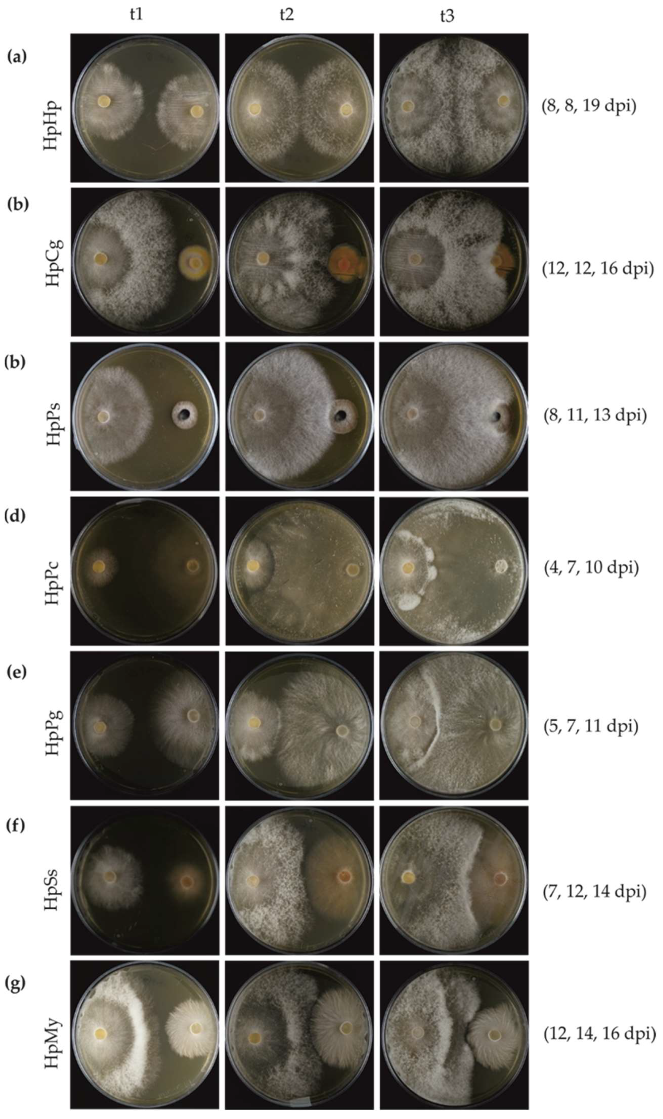 Microorganisms 07 00658 g004