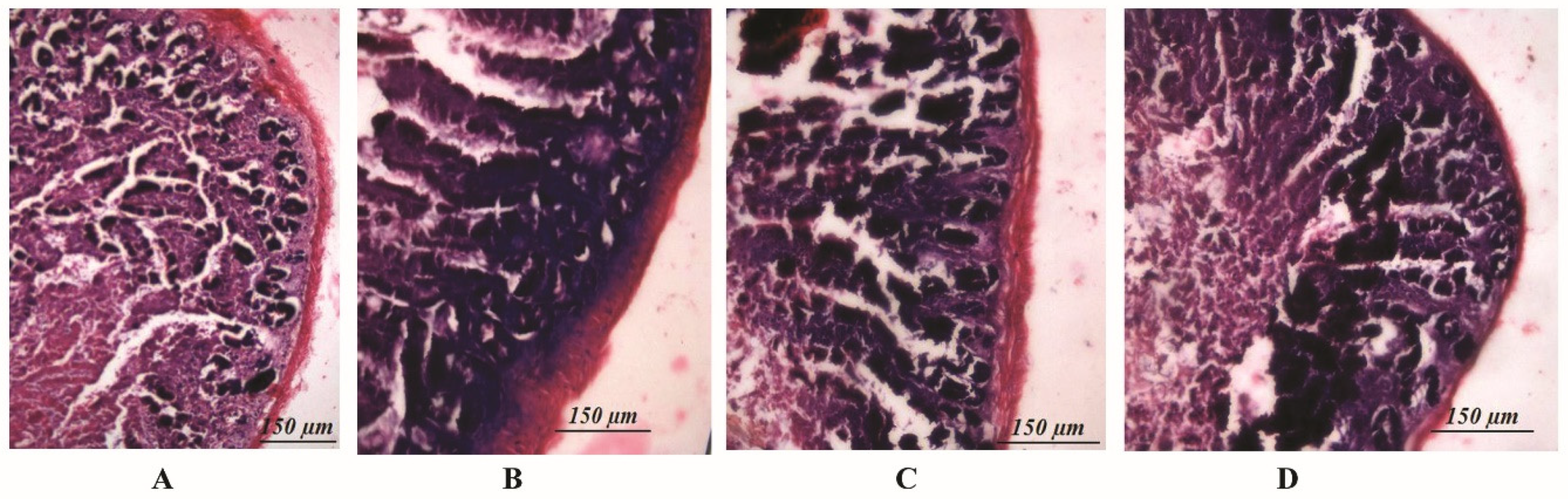 Microorganisms 07 00659 g005