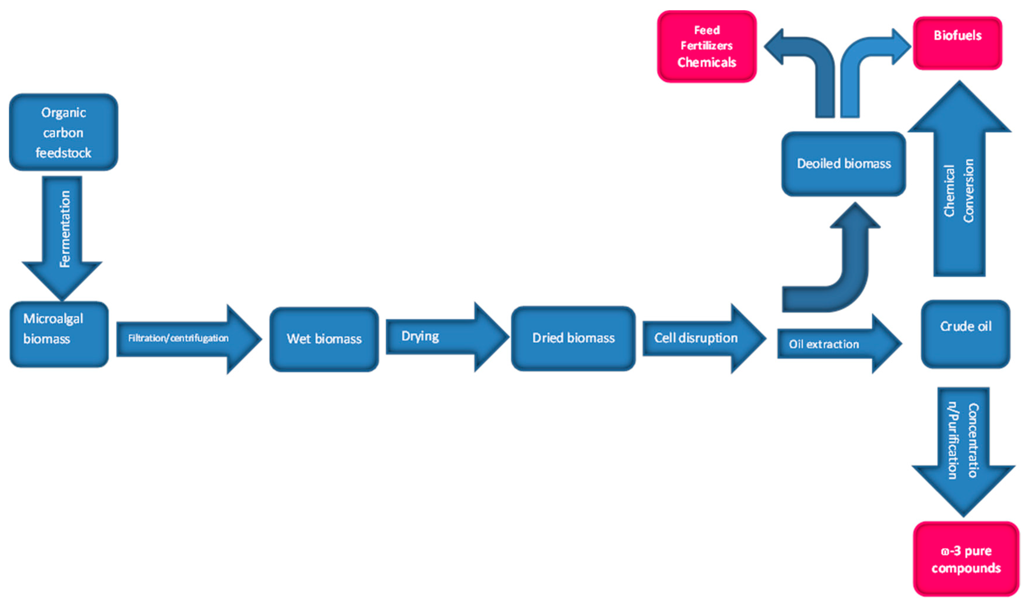 Microorganisms 07 00670 g002