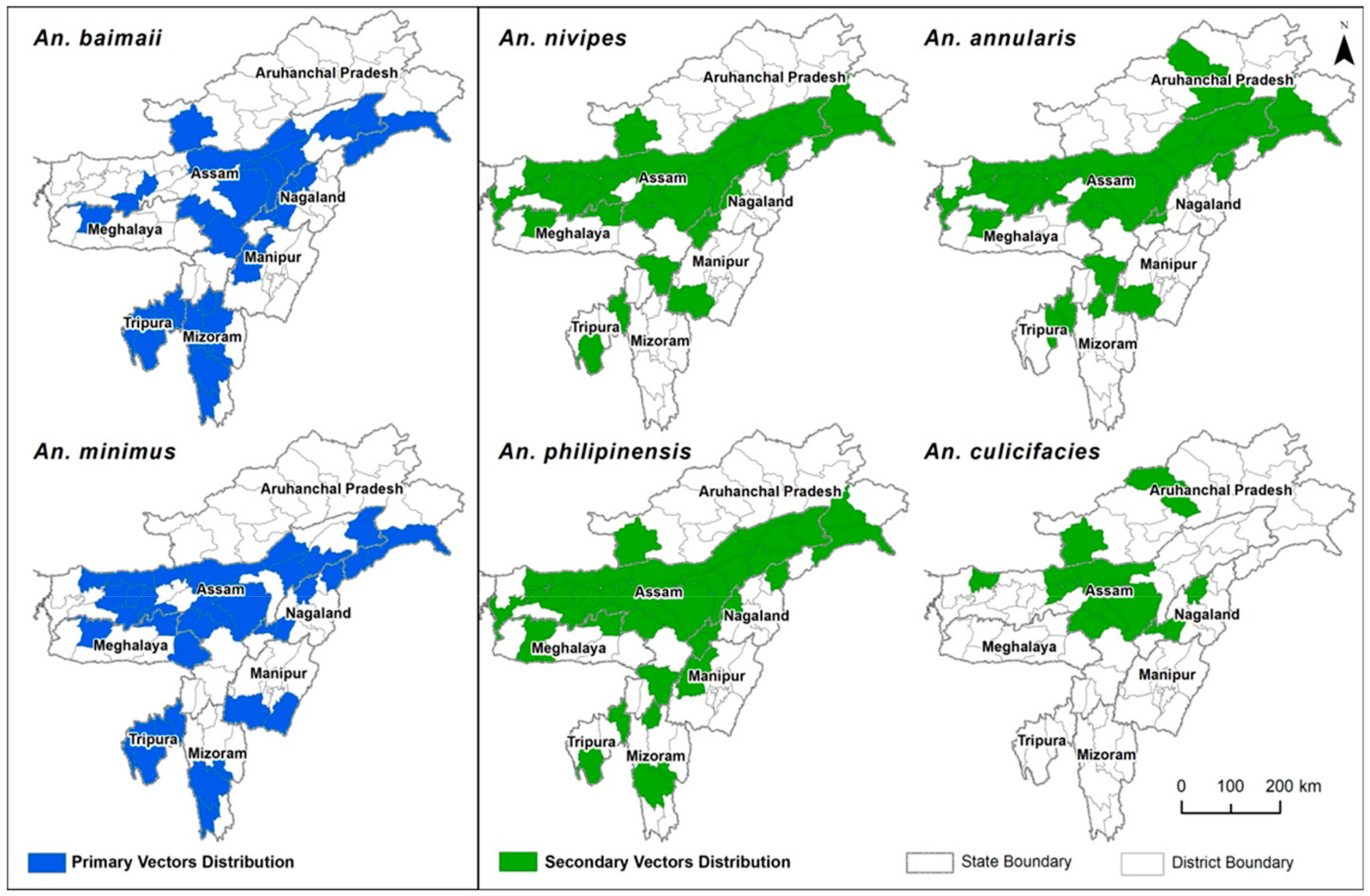 Microorganisms 07 00673 g005