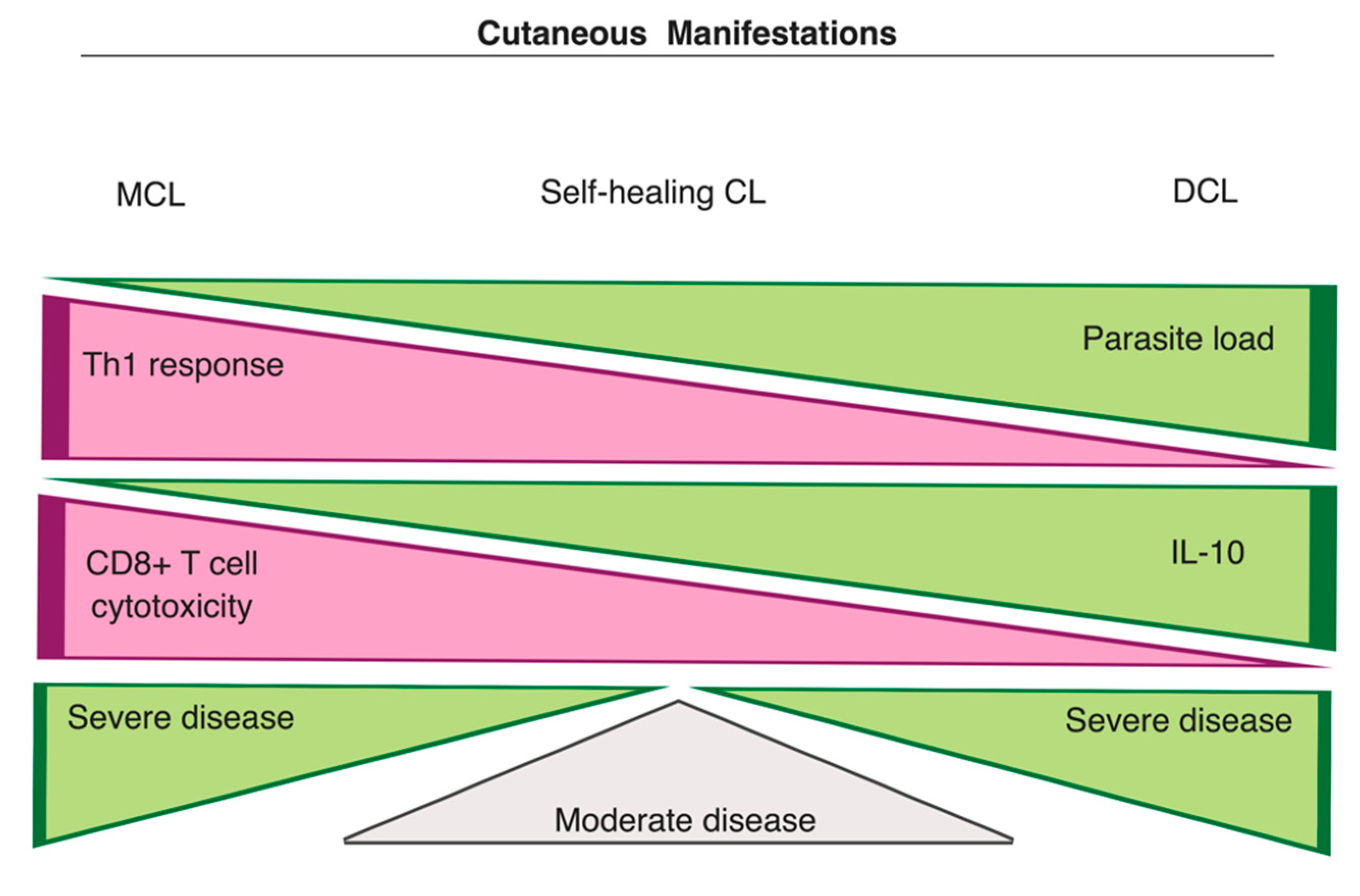 Microorganisms 07 00695 g003