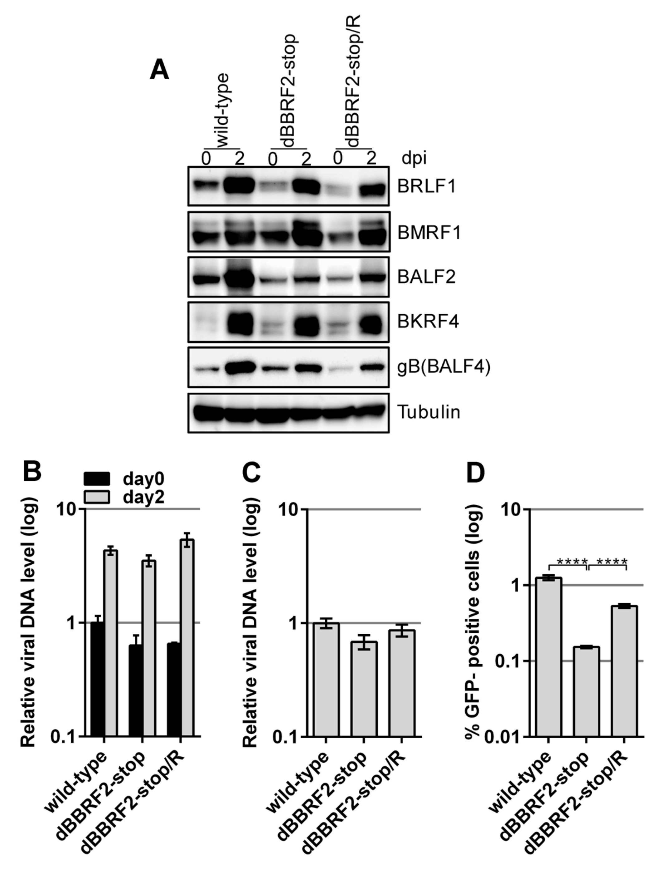 Microorganisms 07 00705 g002