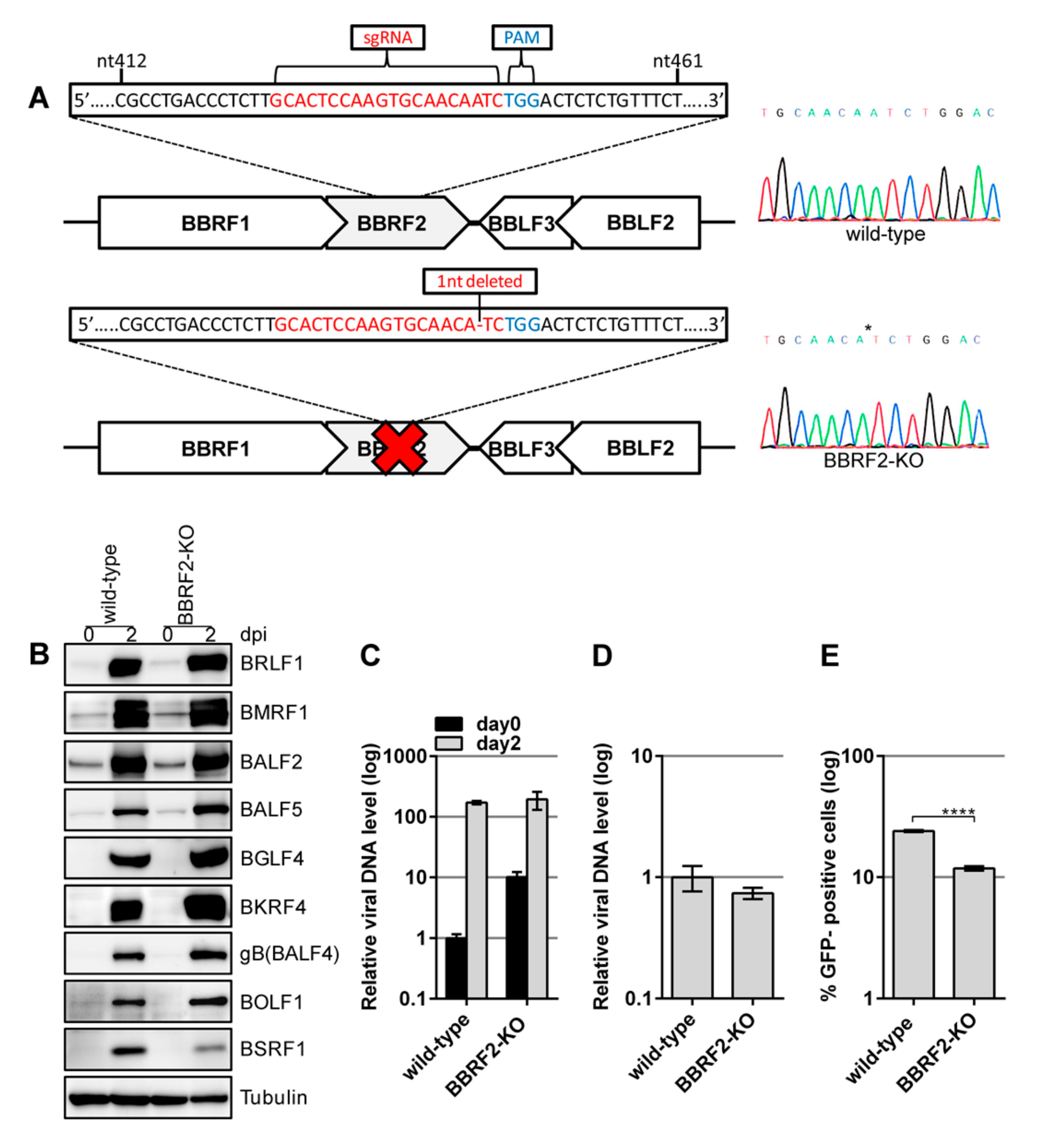 Microorganisms 07 00705 g003