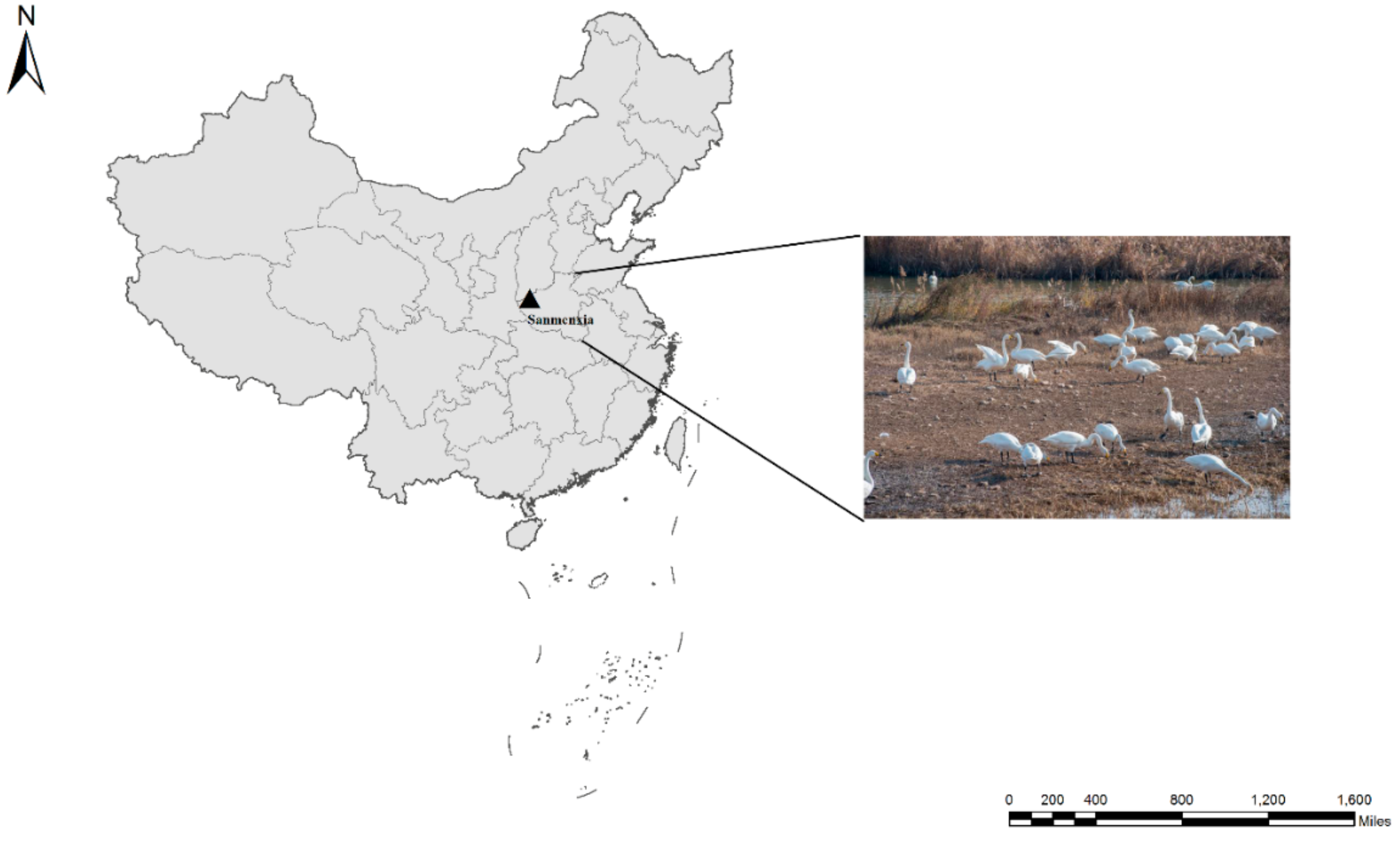 Microorganisms 08 00006 g001