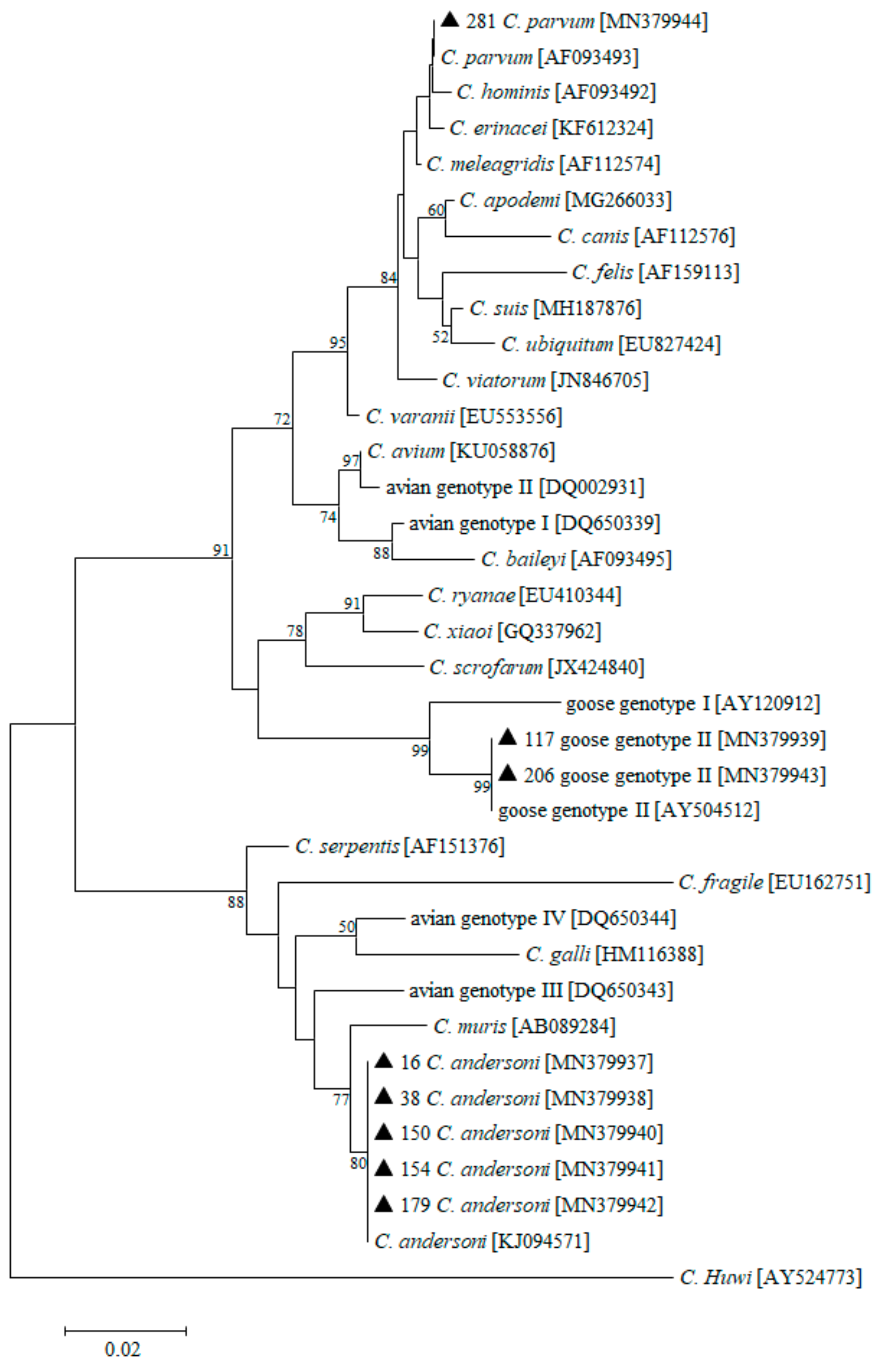 Microorganisms 08 00006 g002