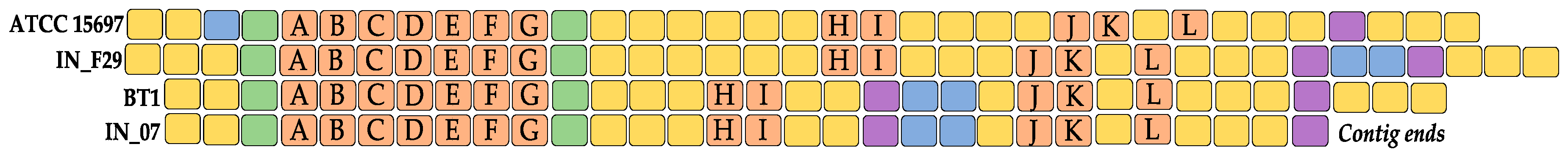 Microorganisms 08 00007 g010