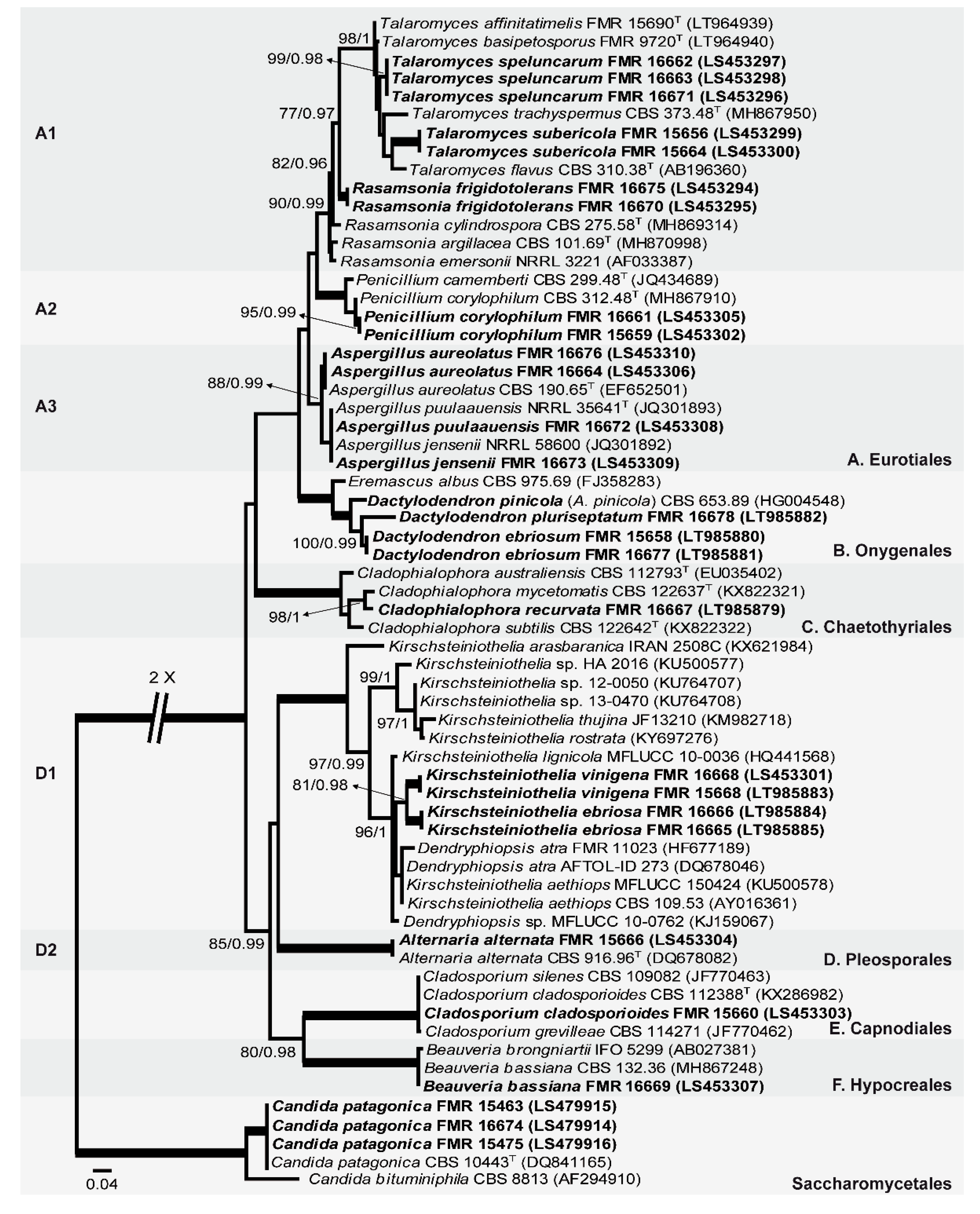 Microorganisms 08 00012 g001 Microorganisms 08 00012 g001