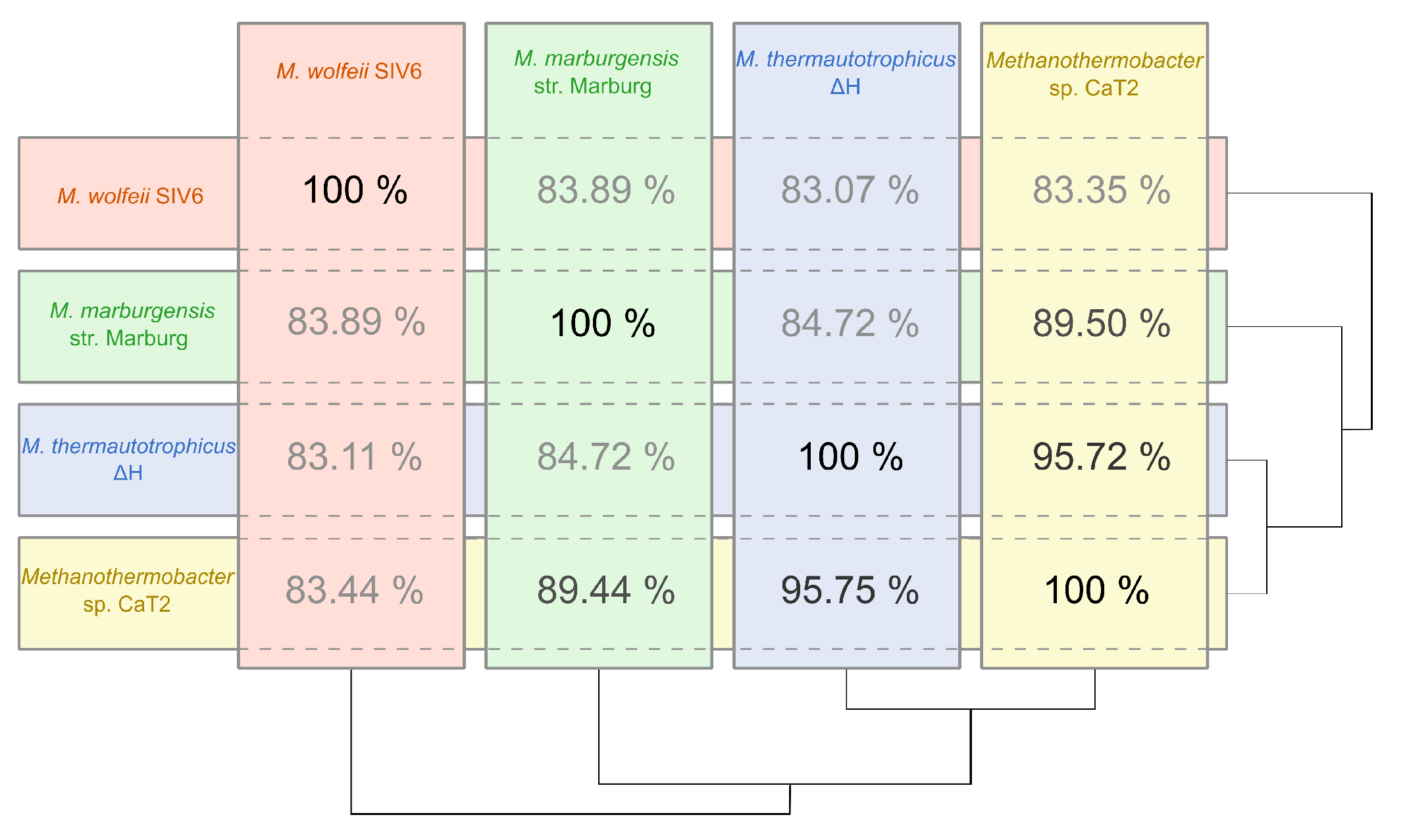 Microorganisms 08 00013 g003 Microorganisms 08 00013 g003