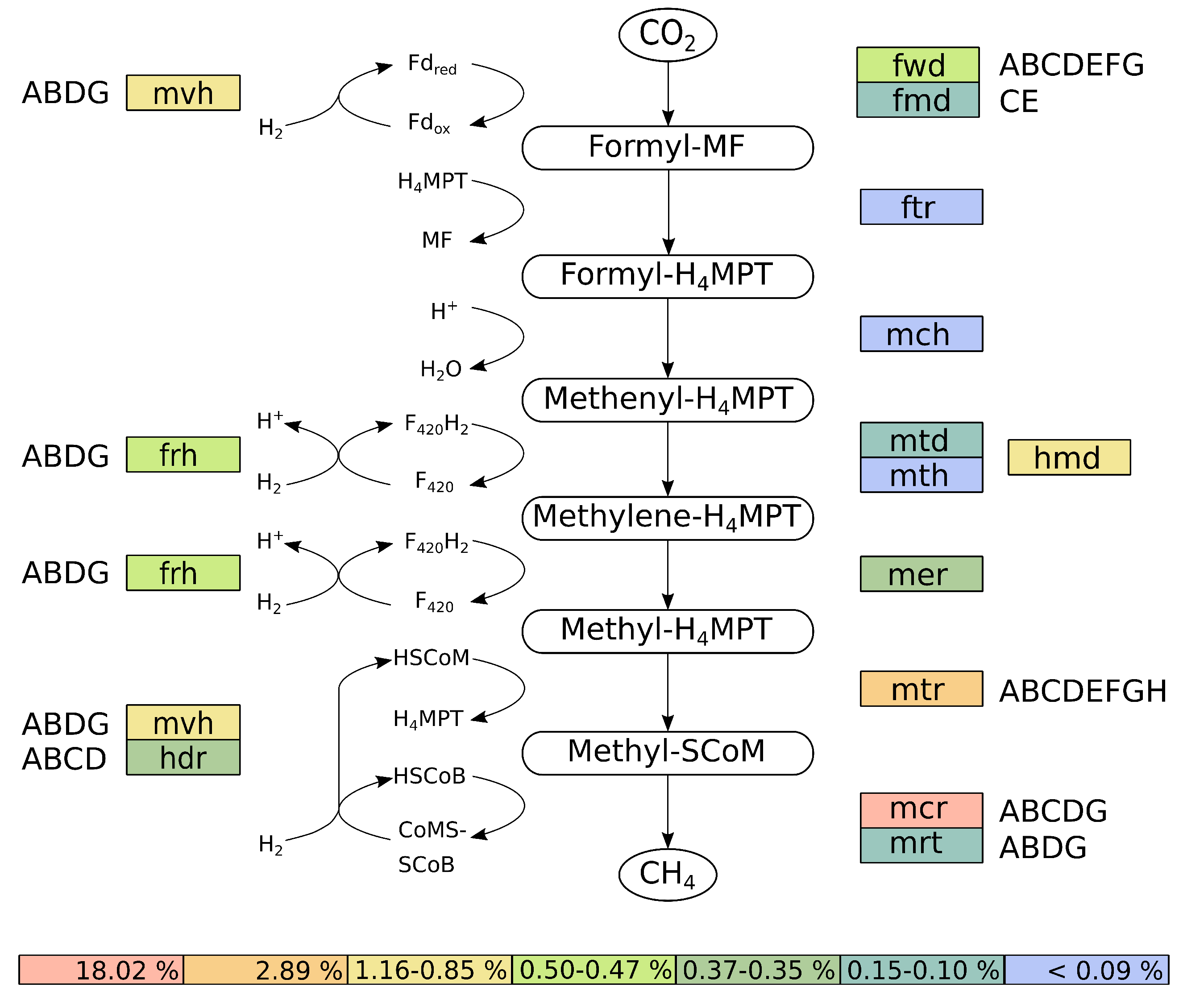 Microorganisms 08 00013 g006 Microorganisms 08 00013 g006