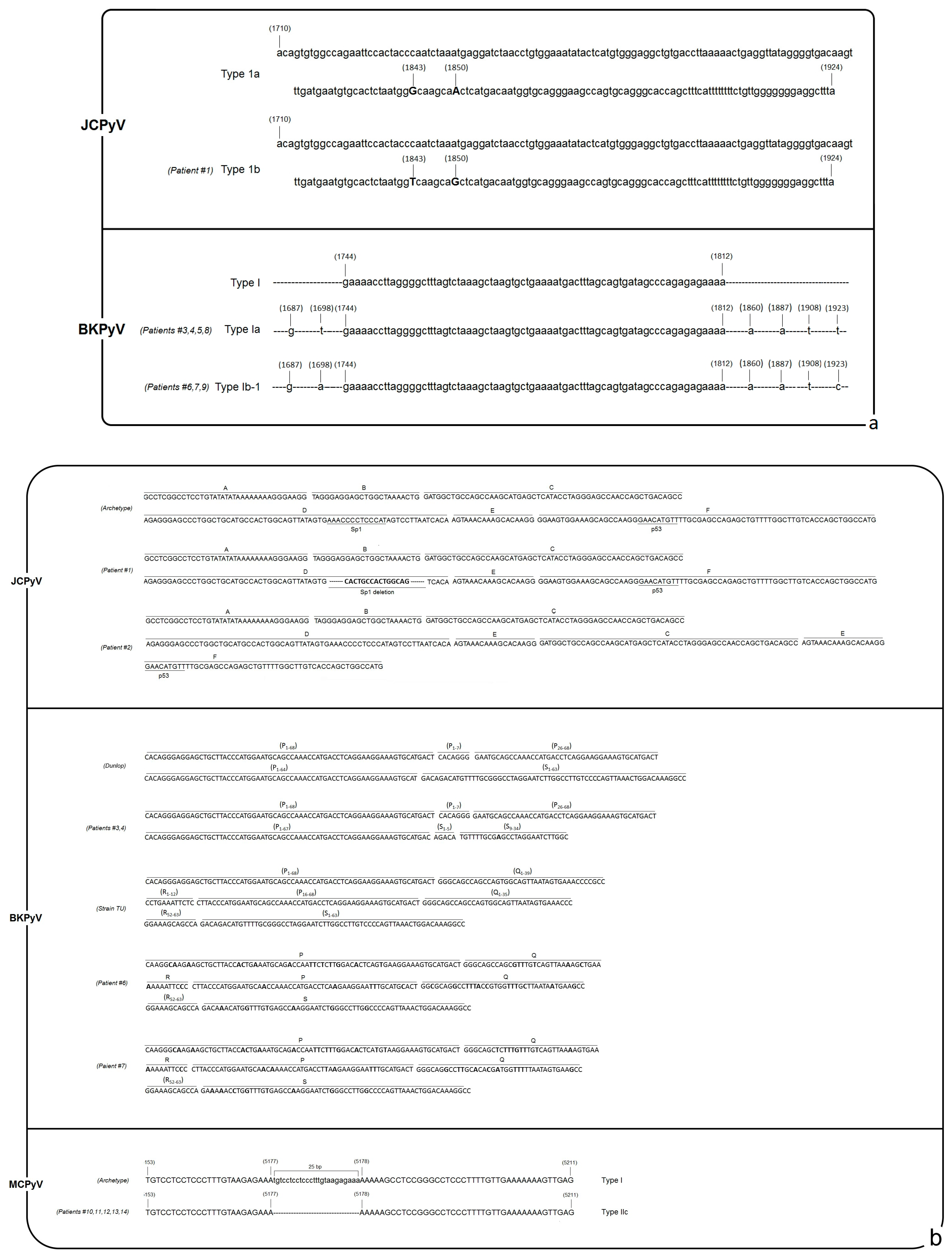 Microorganisms 08 00016 g002