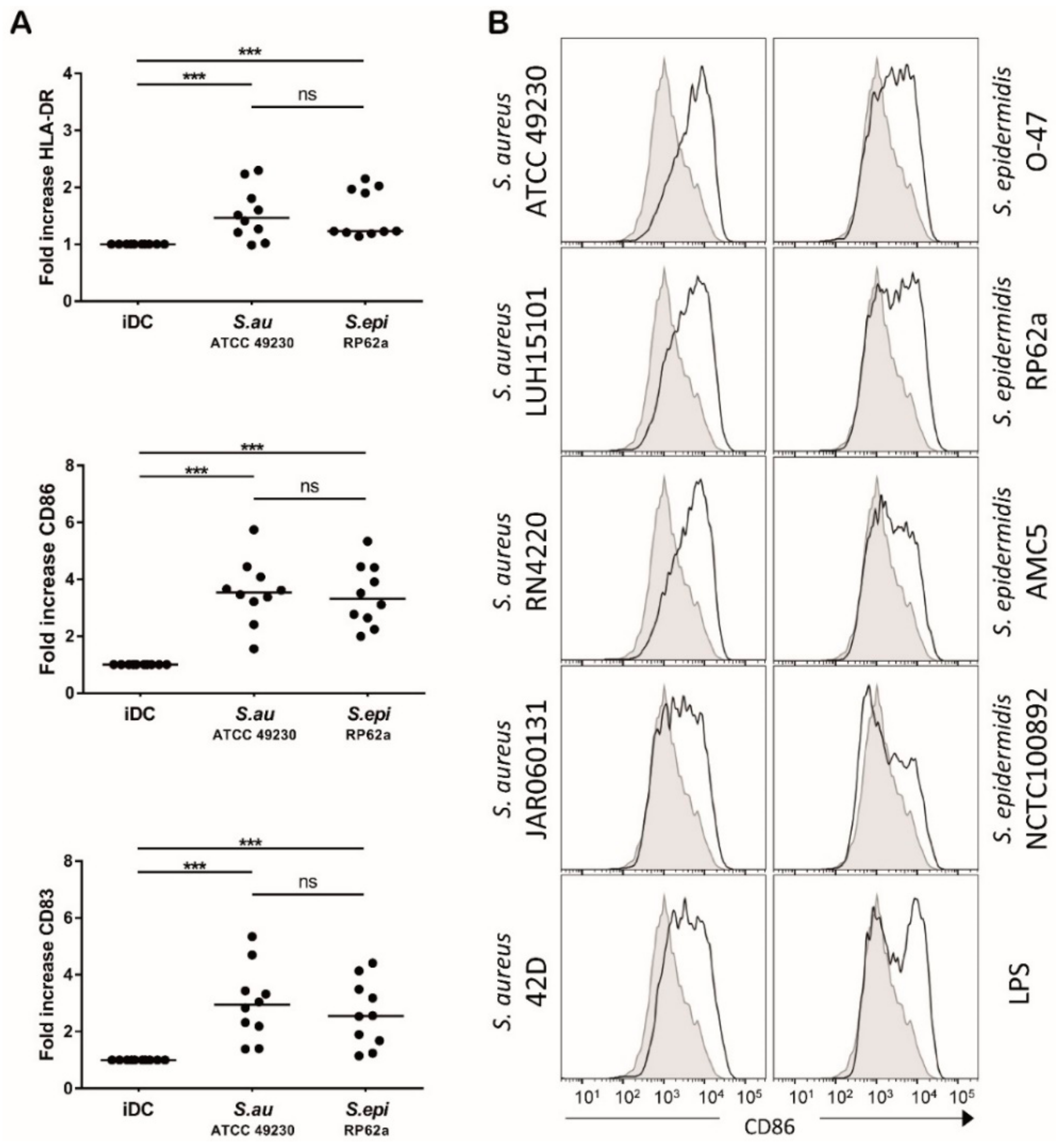Microorganisms 08 00019 g001
