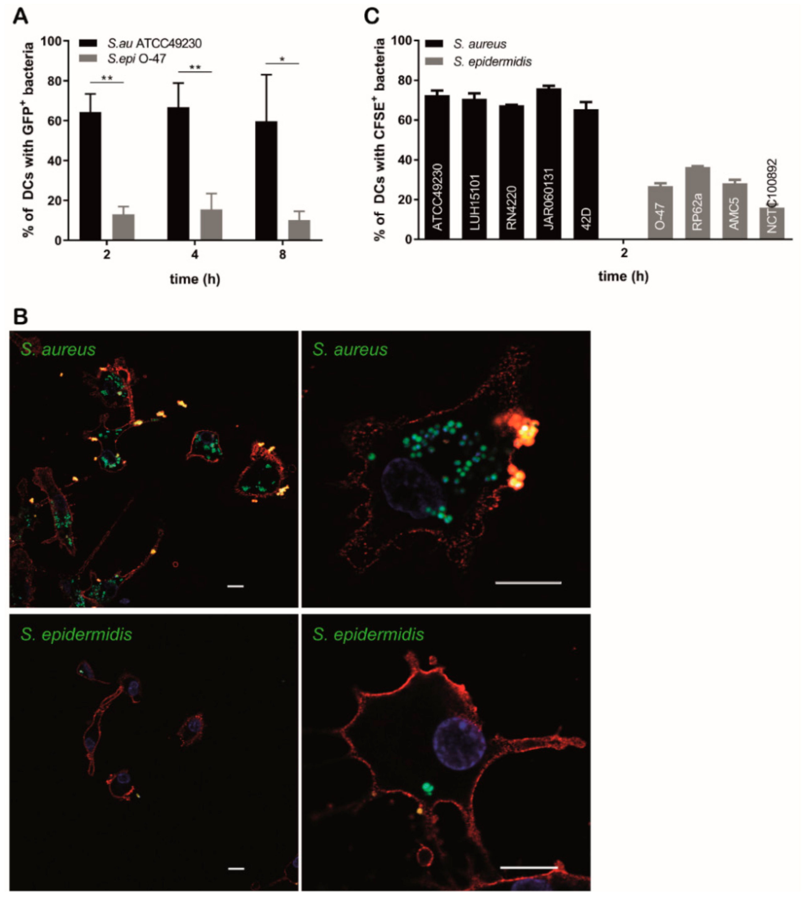Microorganisms 08 00019 g002