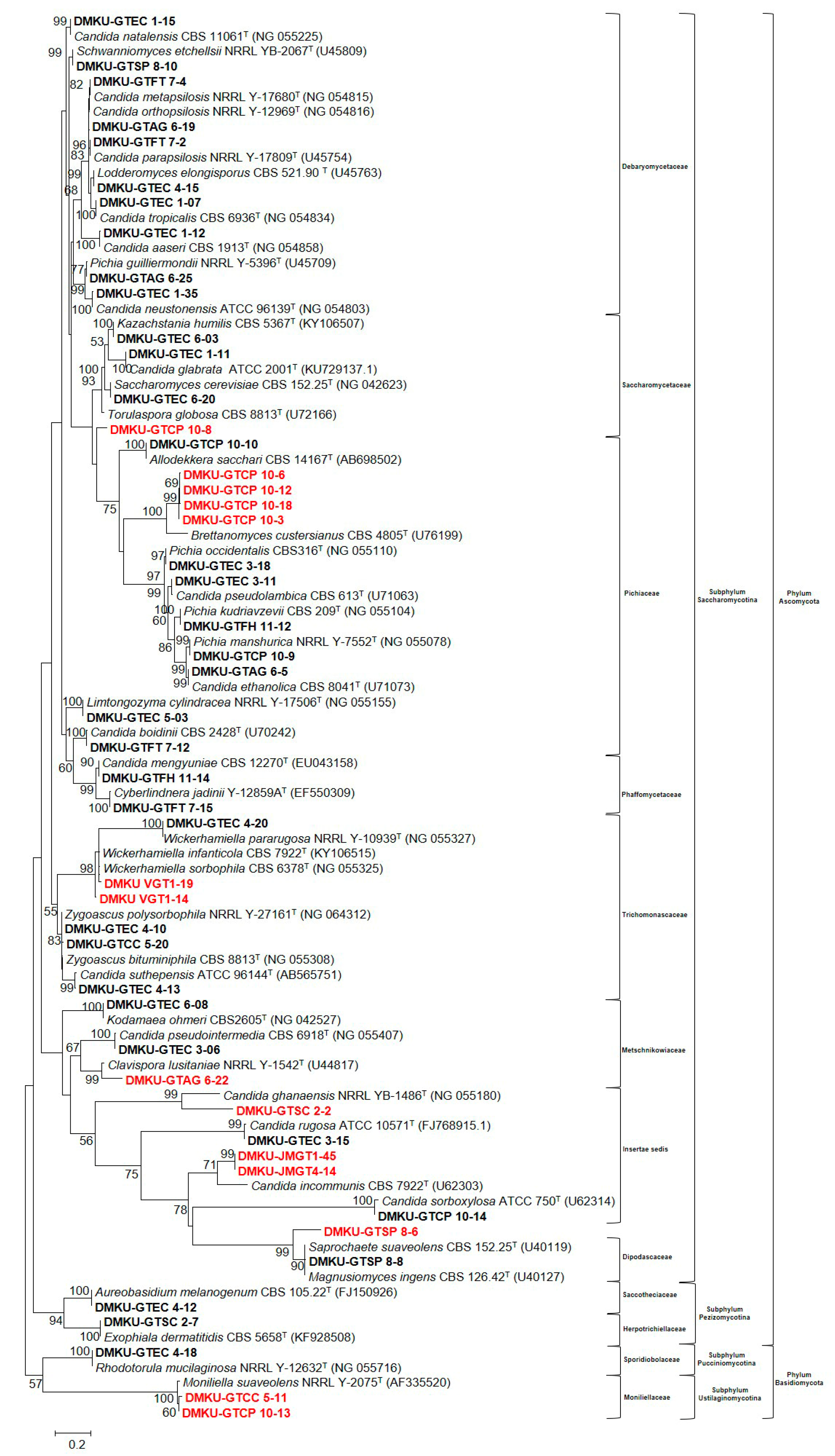 Microorganisms 08 00027 g002