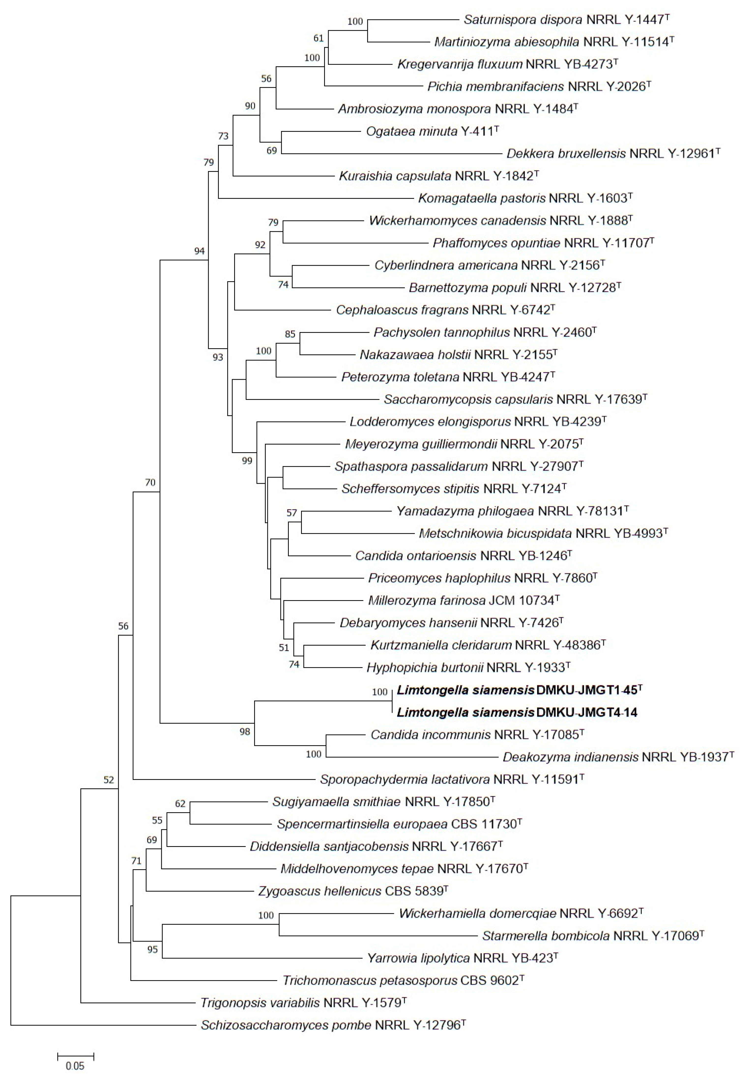 Microorganisms 08 00027 g004