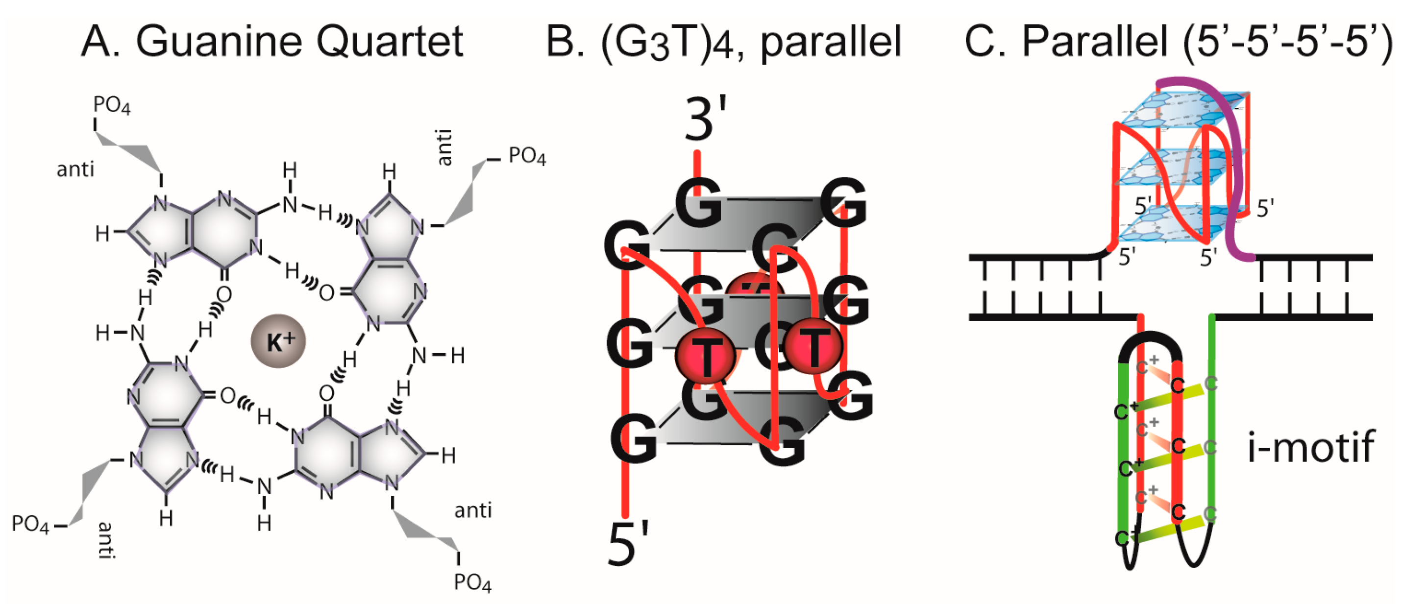 Microorganisms 08 00028 g001