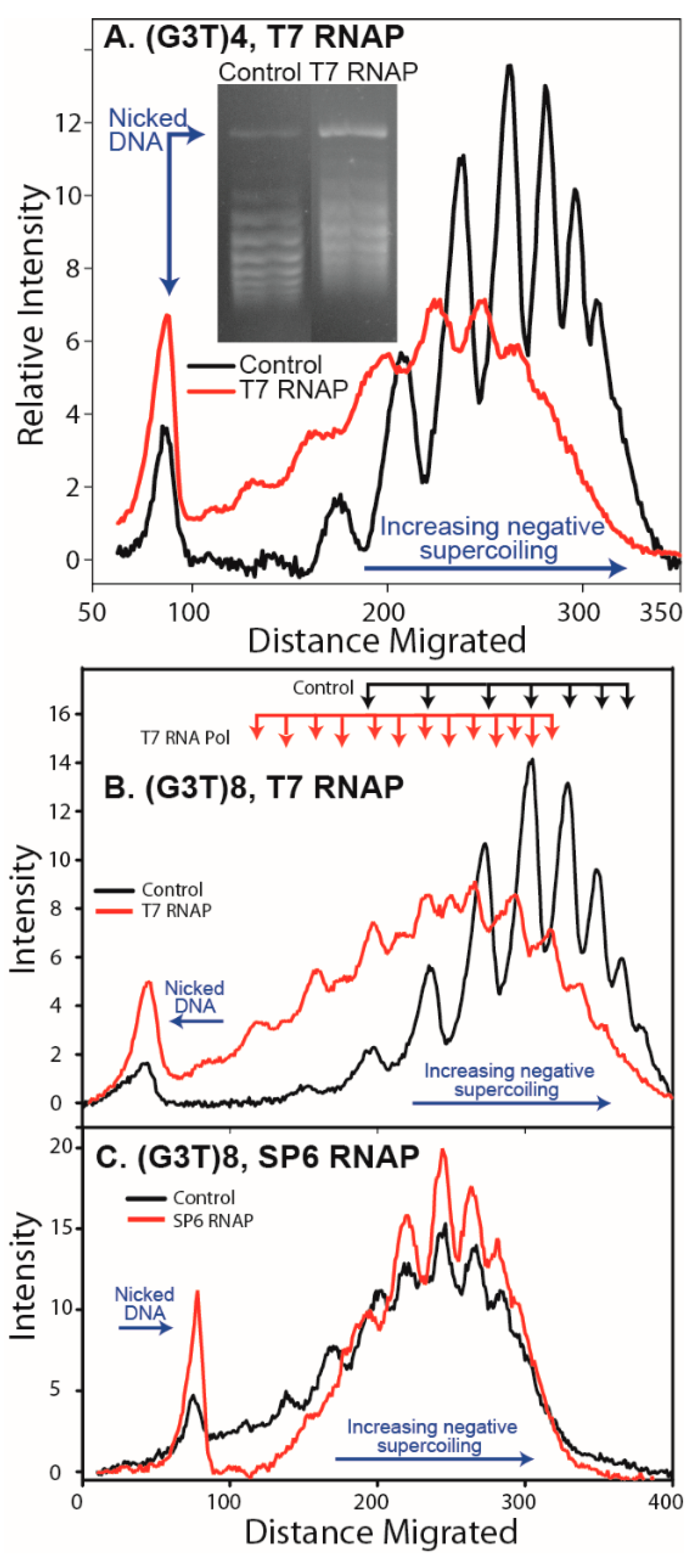 Microorganisms 08 00028 g002