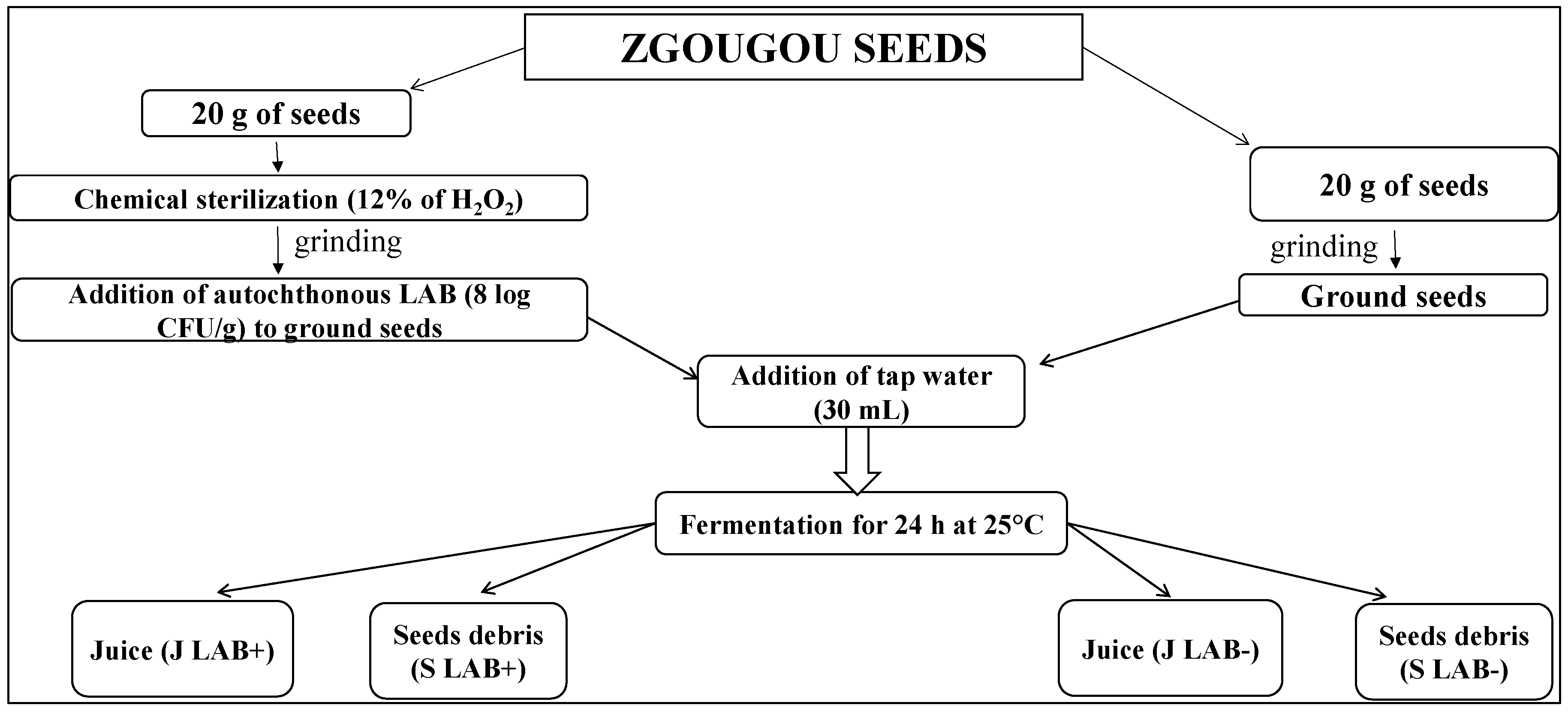 Microorganisms 08 00029 g005