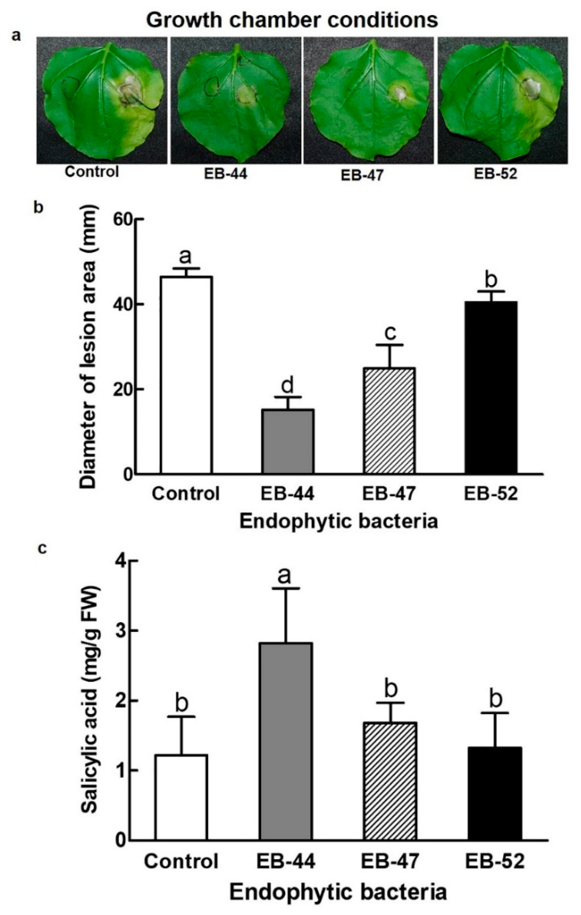 Microorganisms 08 00031 g002
