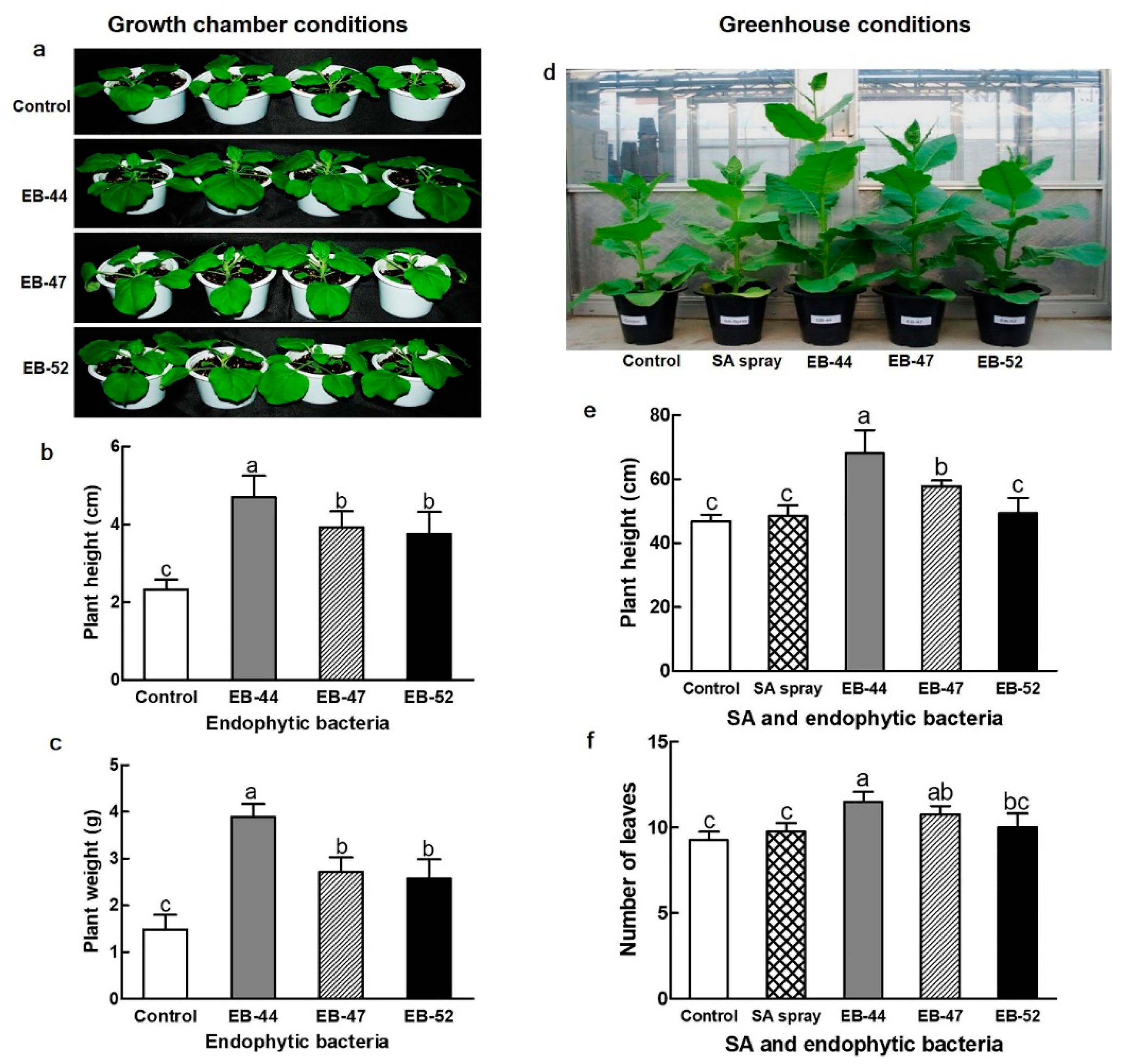 Microorganisms 08 00031 g004