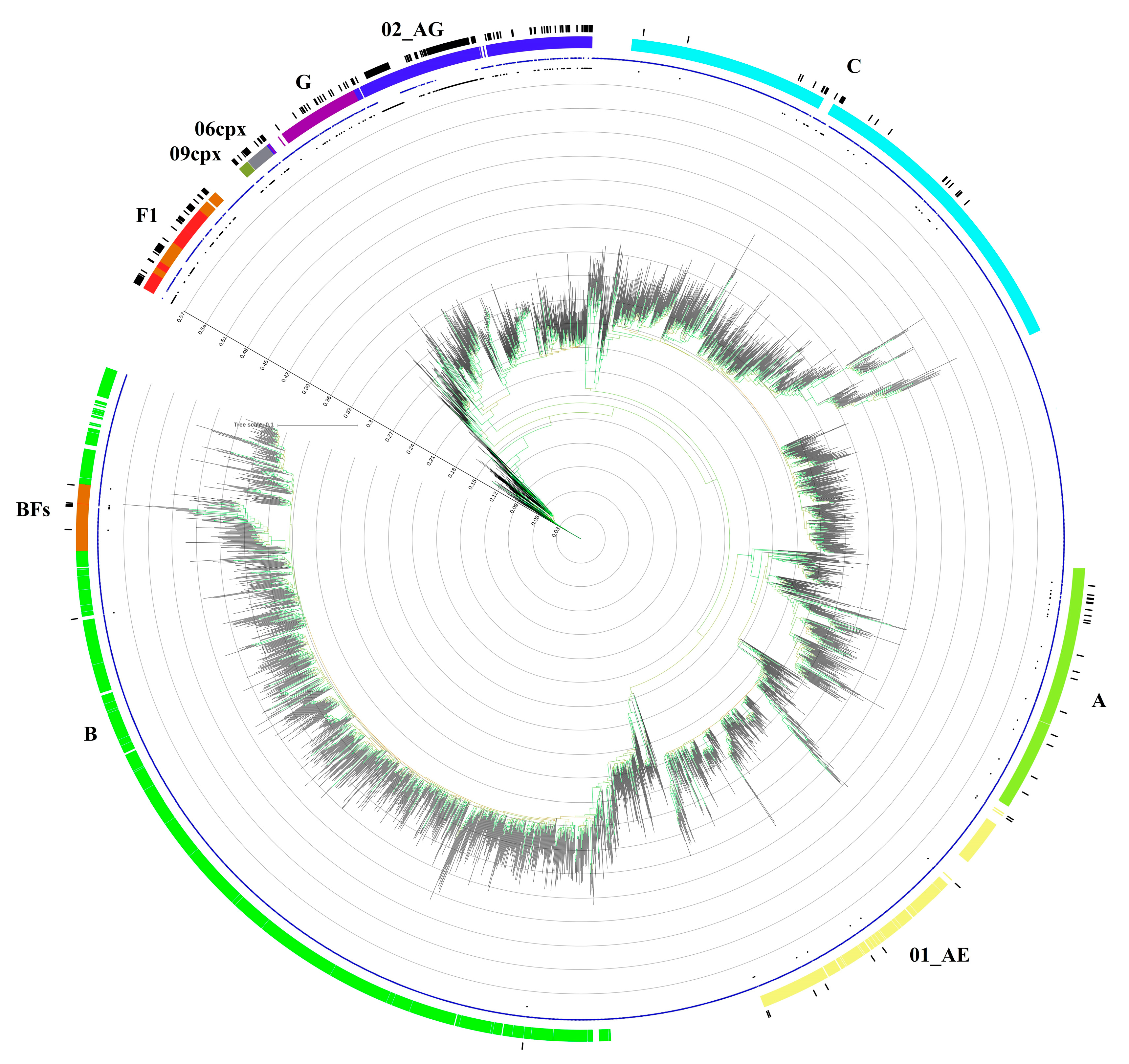 Microorganisms 08 00036 g001 Microorganisms 08 00036 g001