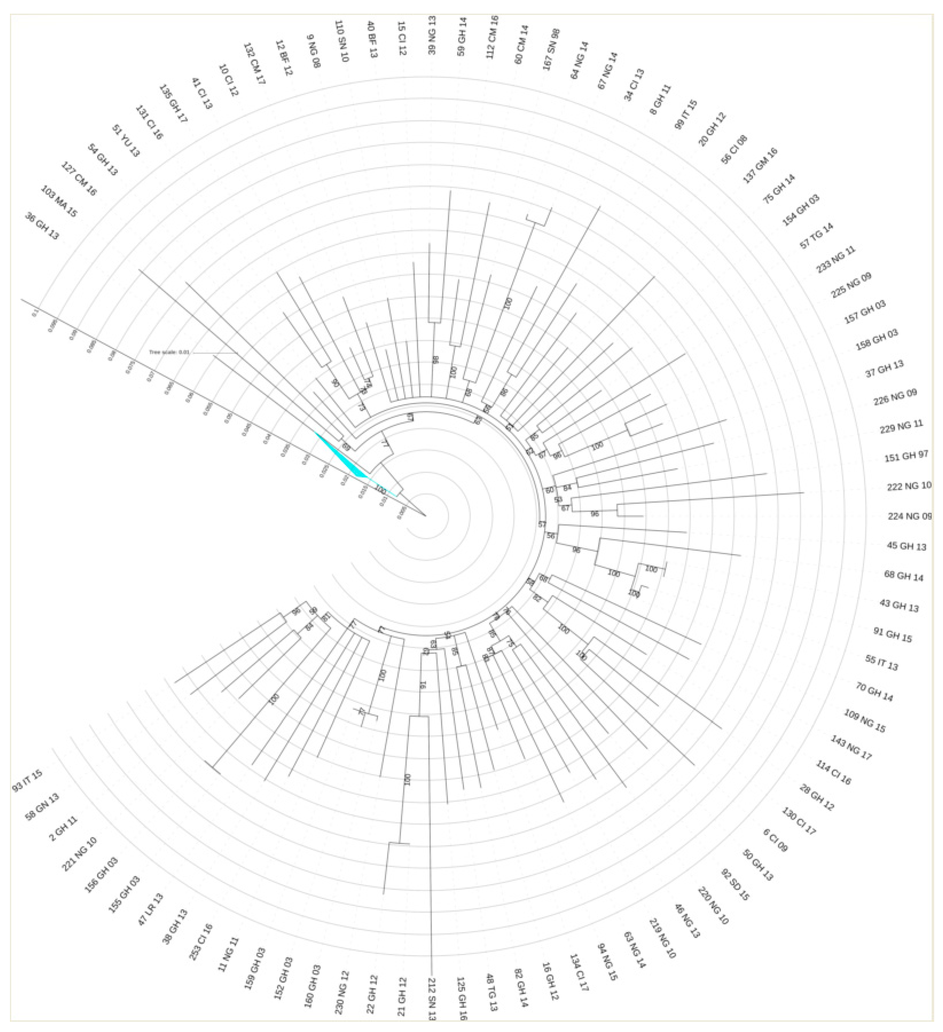 Microorganisms 08 00036 g004 Microorganisms 08 00036 g004