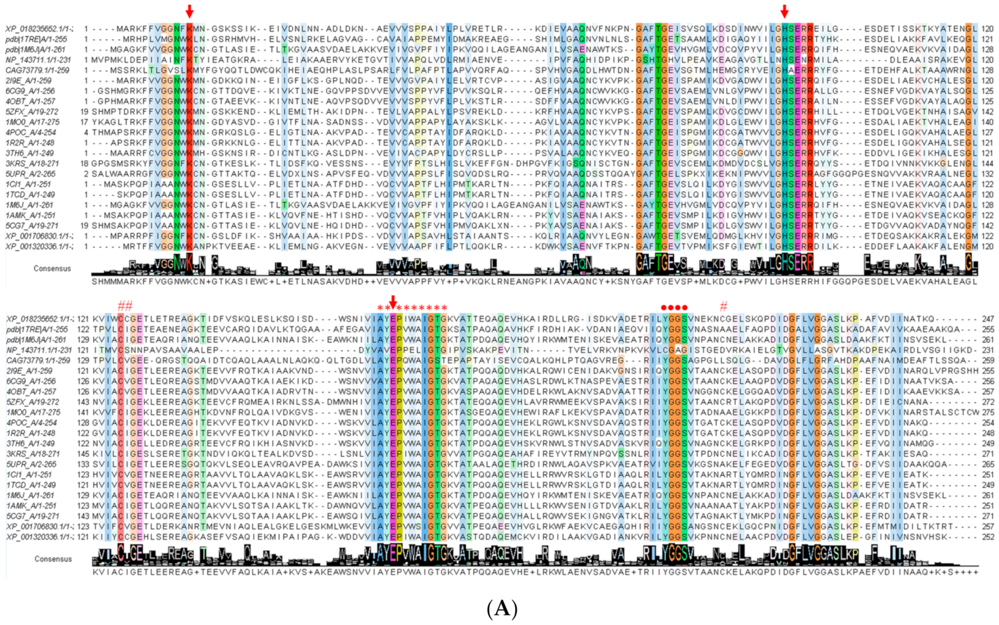 Microorganisms 08 00040 g002a