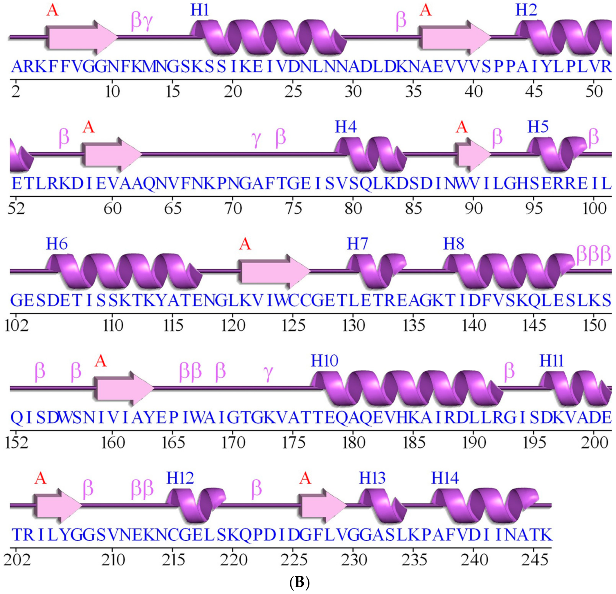 Microorganisms 08 00040 g002b