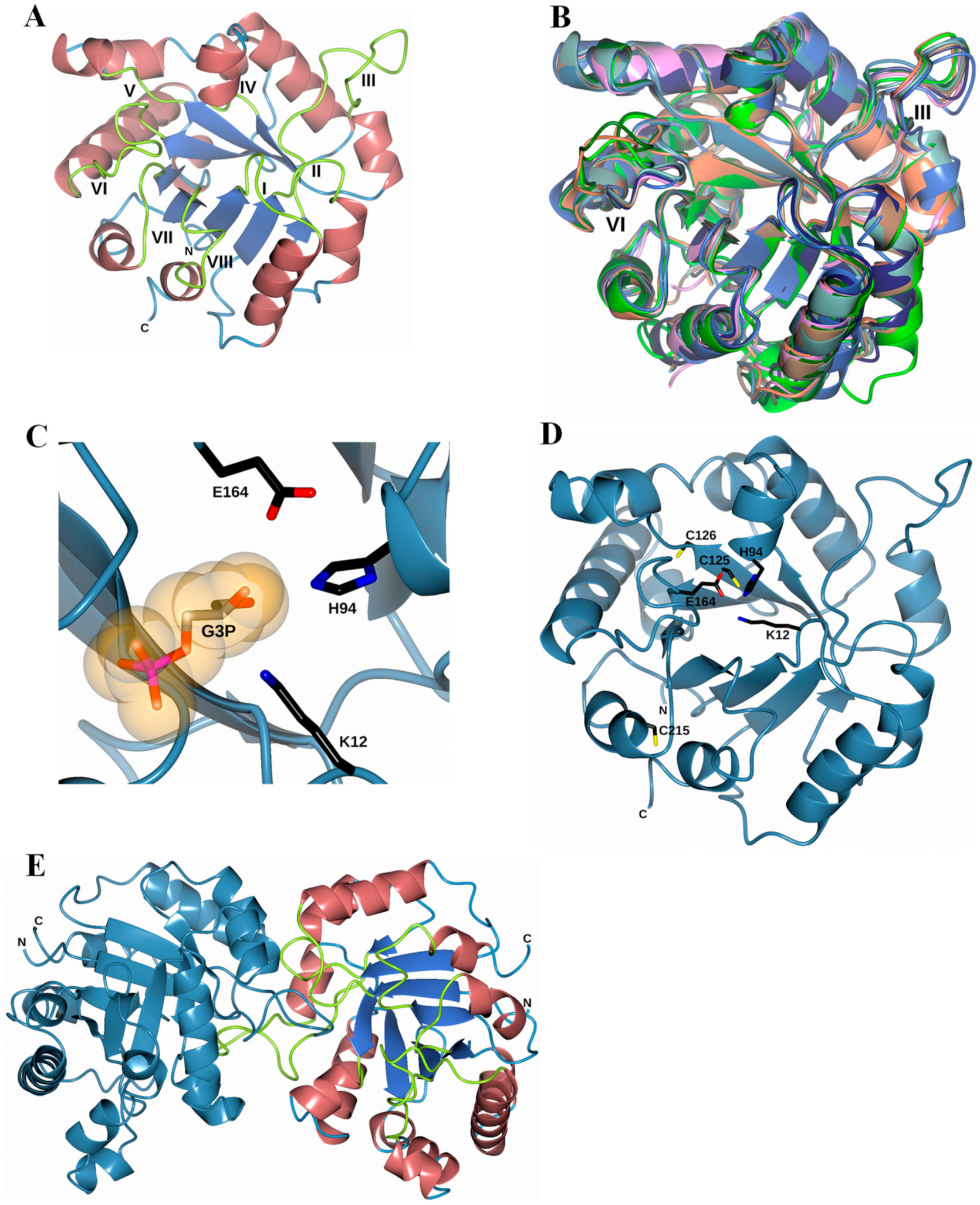 Microorganisms 08 00040 g009