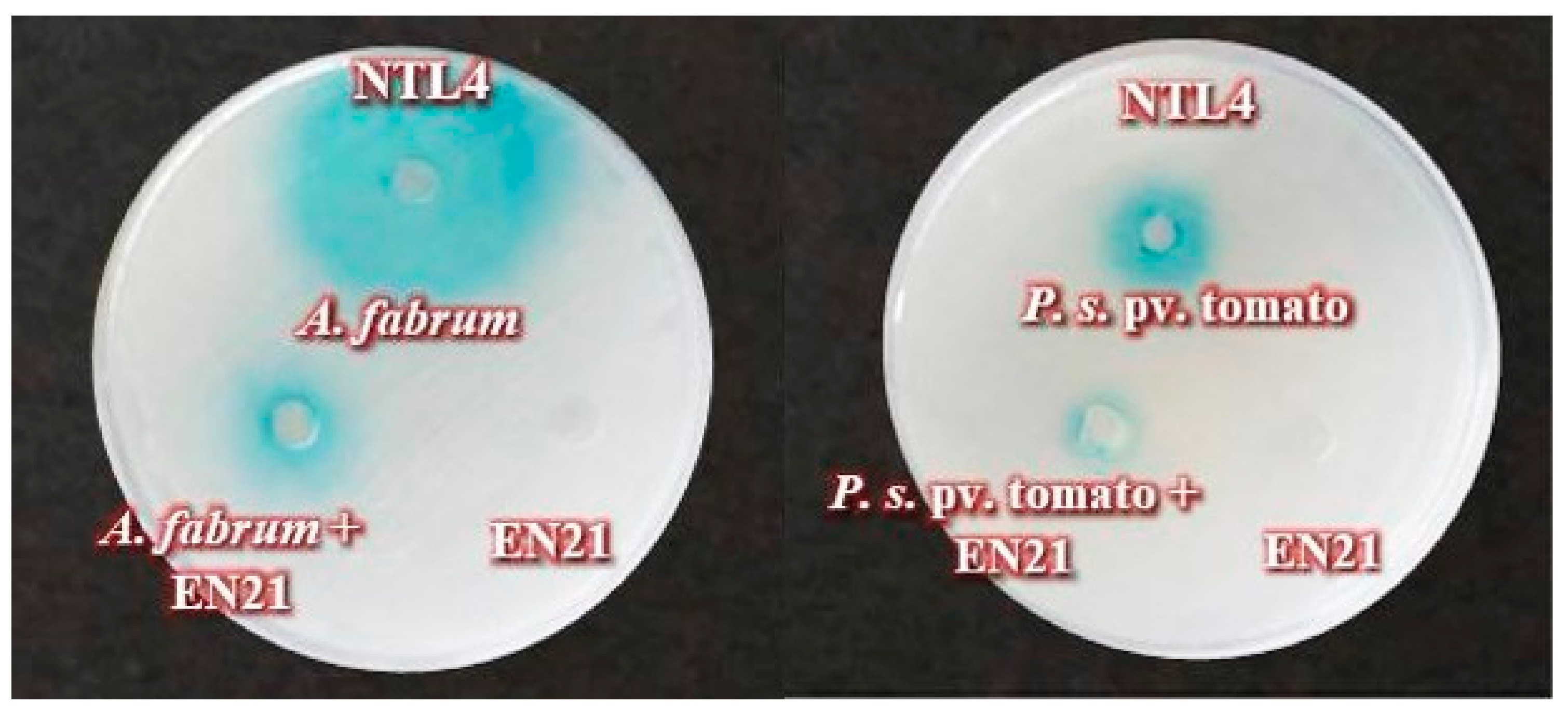 Microorganisms 08 00042 g001